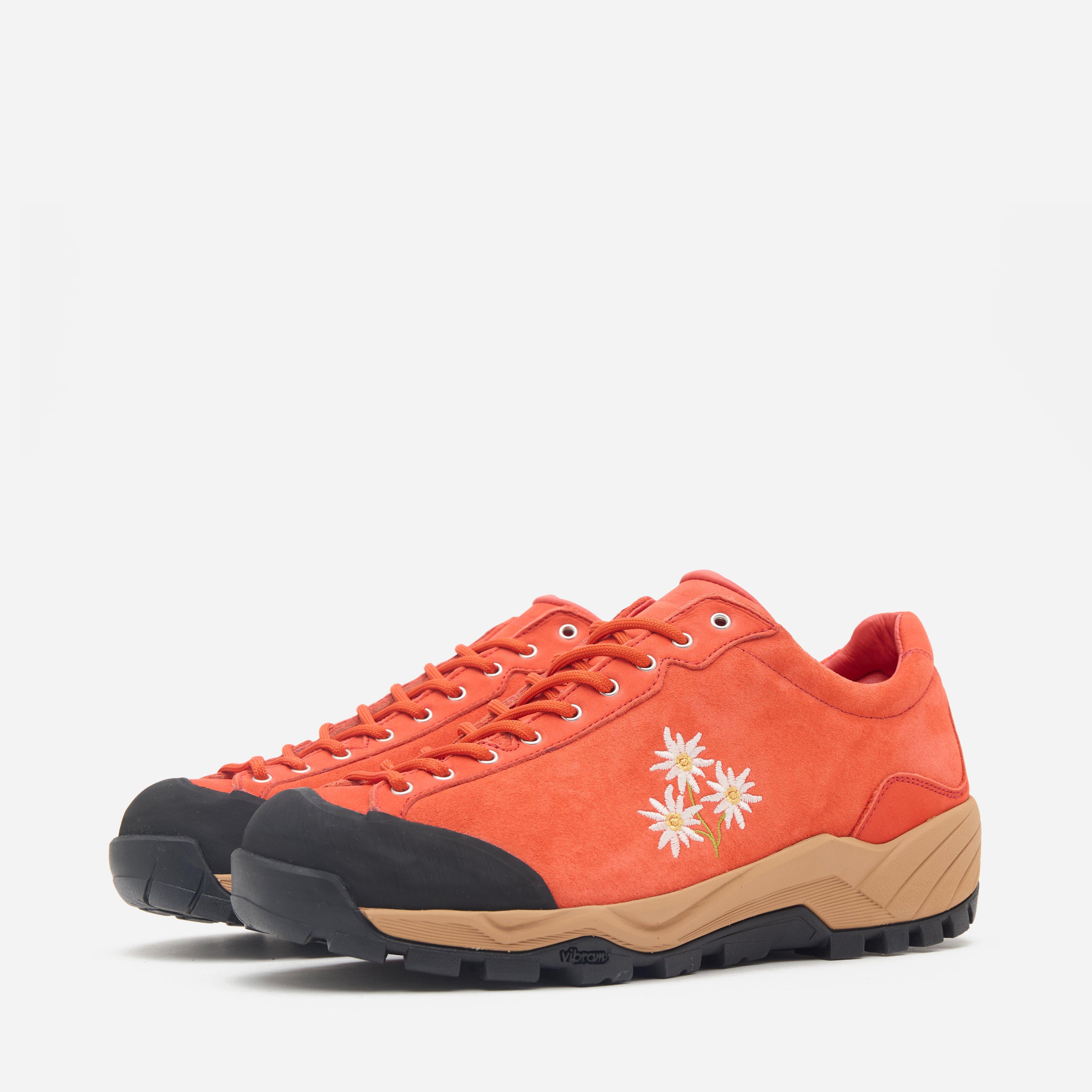 Diemme Movida Stella Alpina