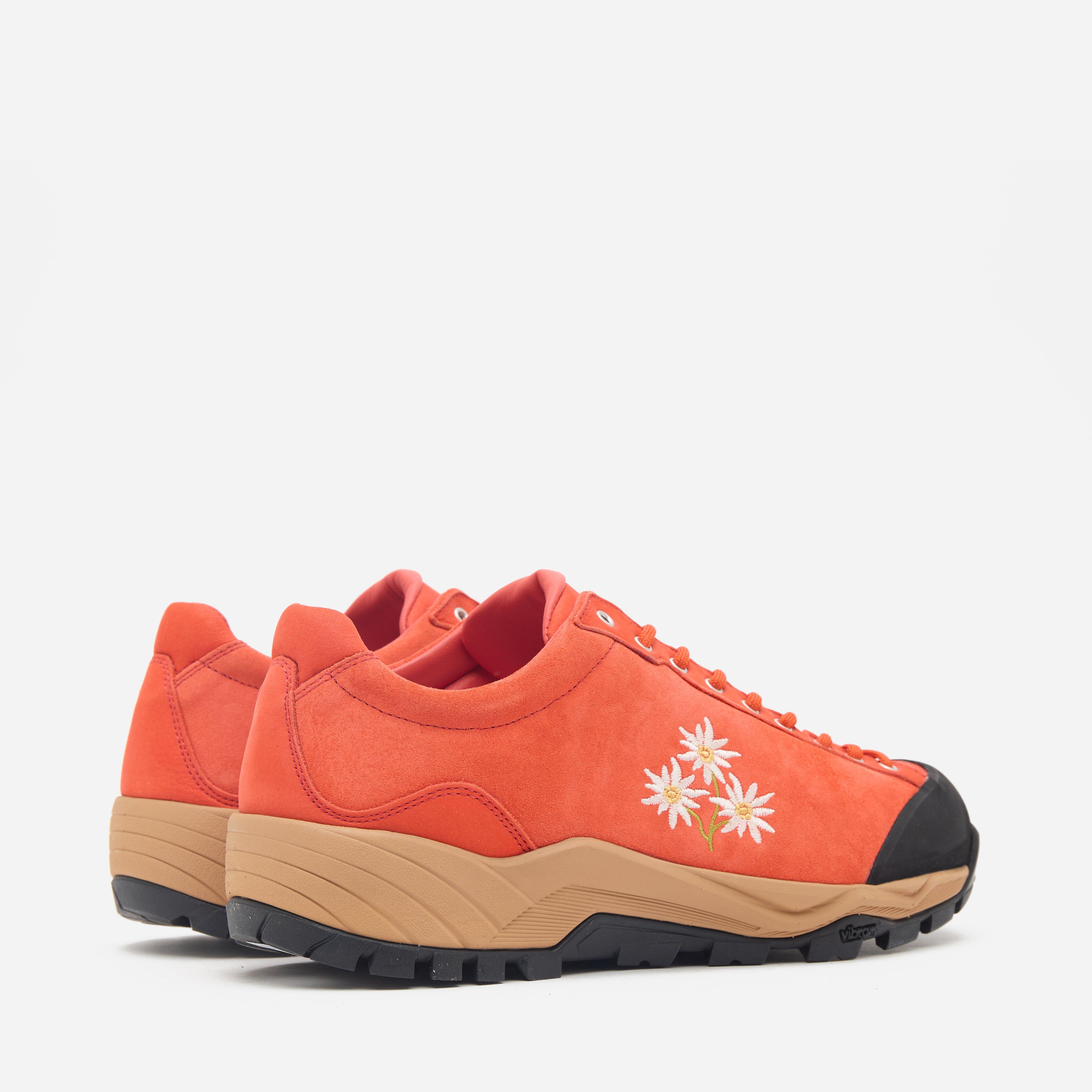 Diemme Movida Stella Alpina