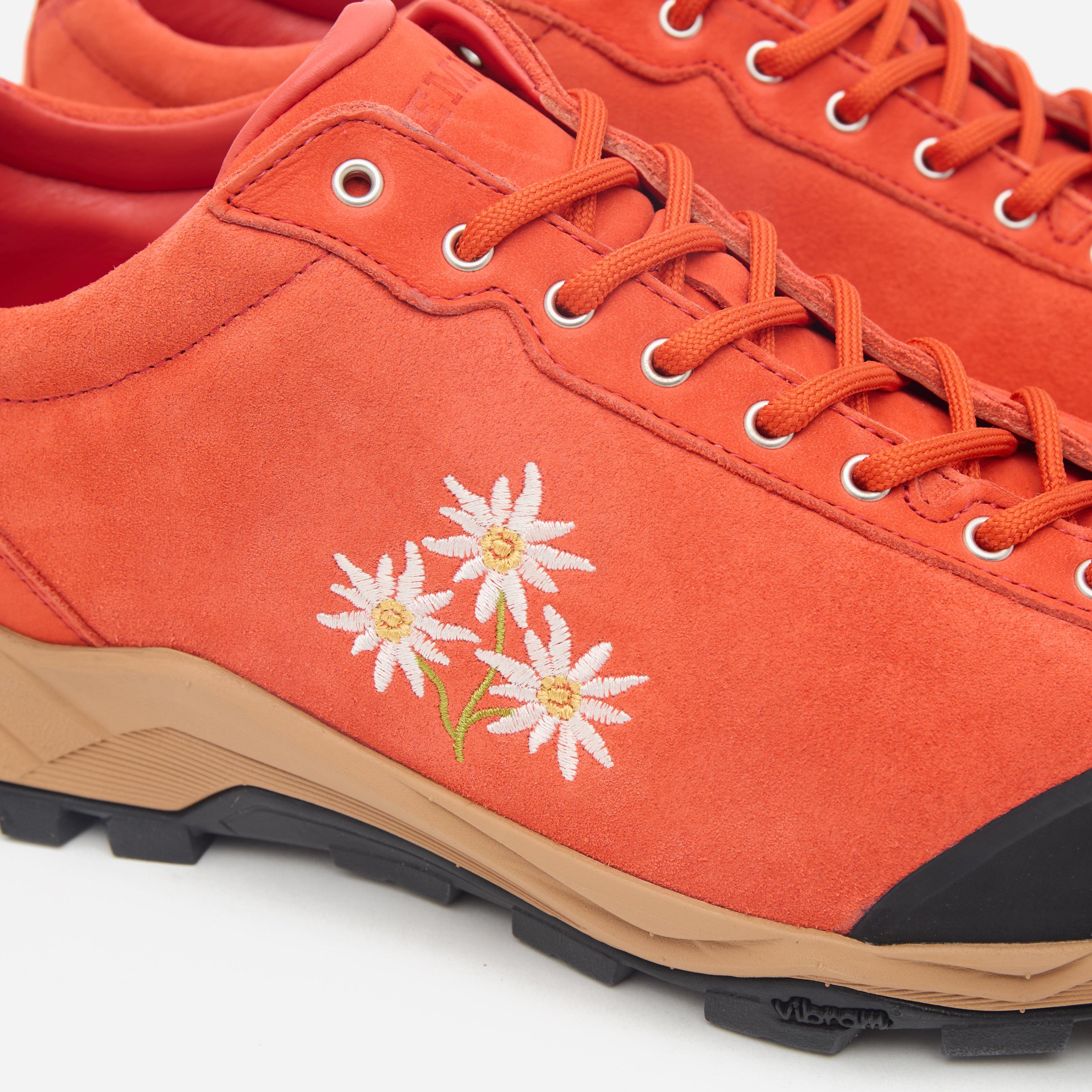 Diemme Movida Stella Alpina