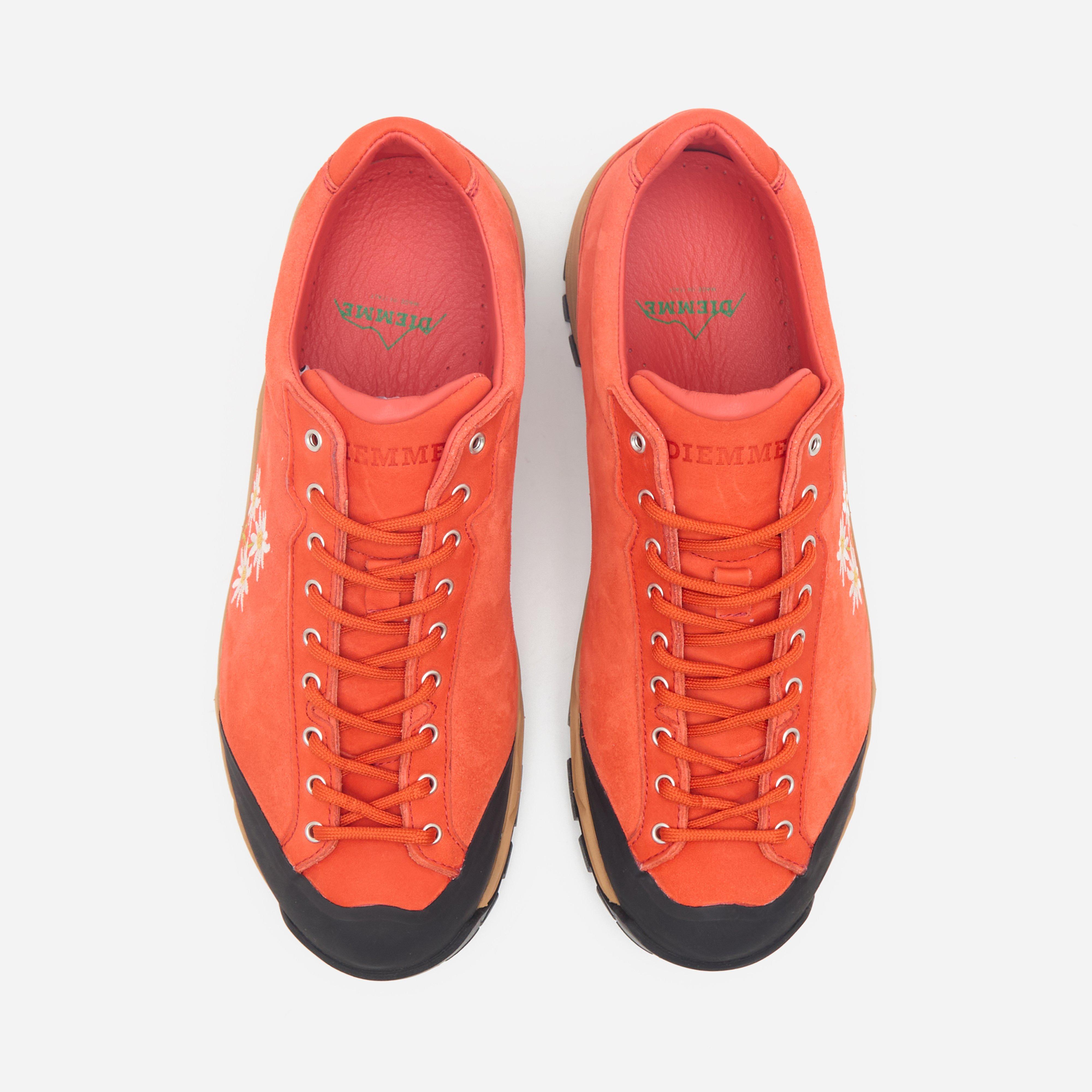 Diemme Movida Stella Alpina