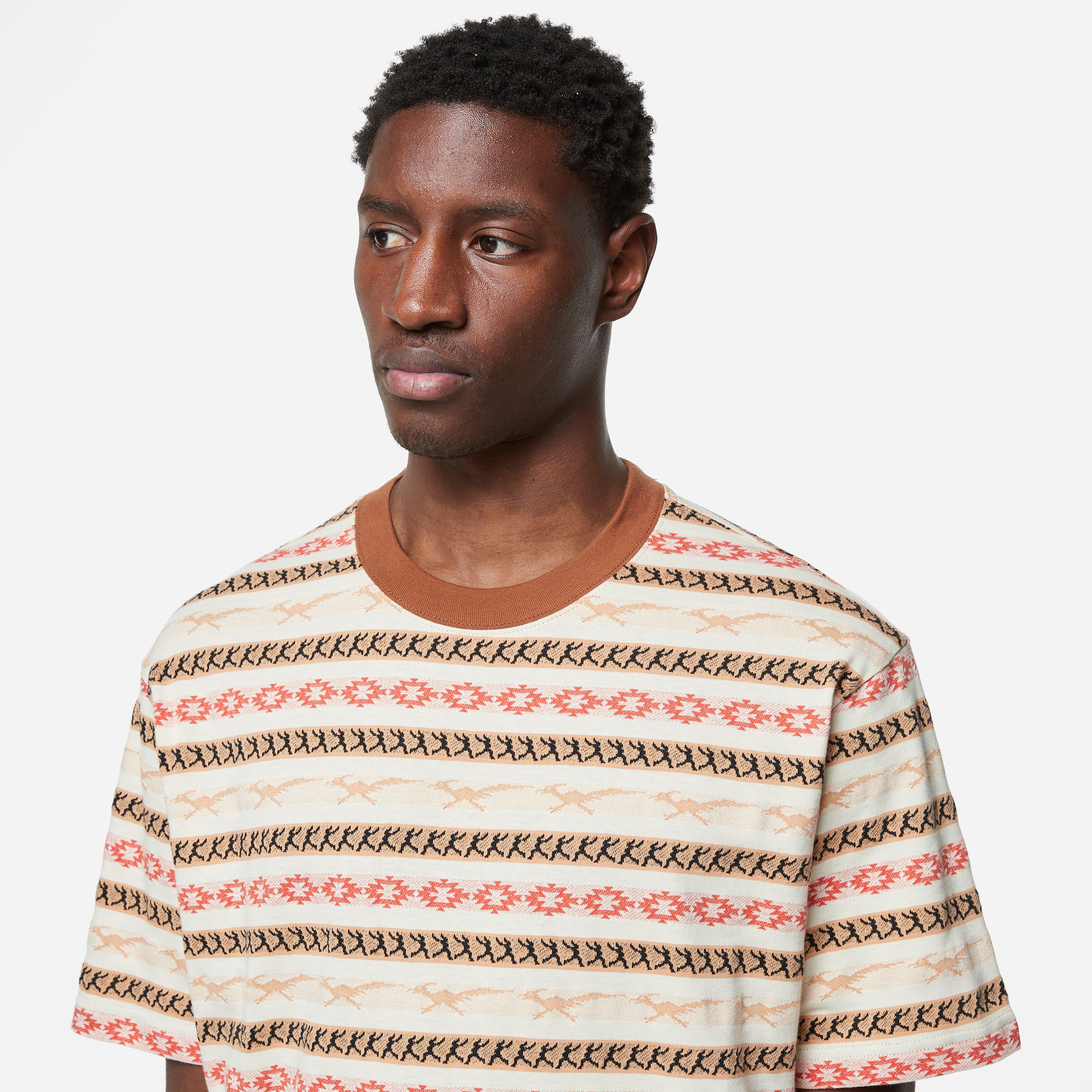 Champion Archive Ghost Ranch Stripe T-Shirt