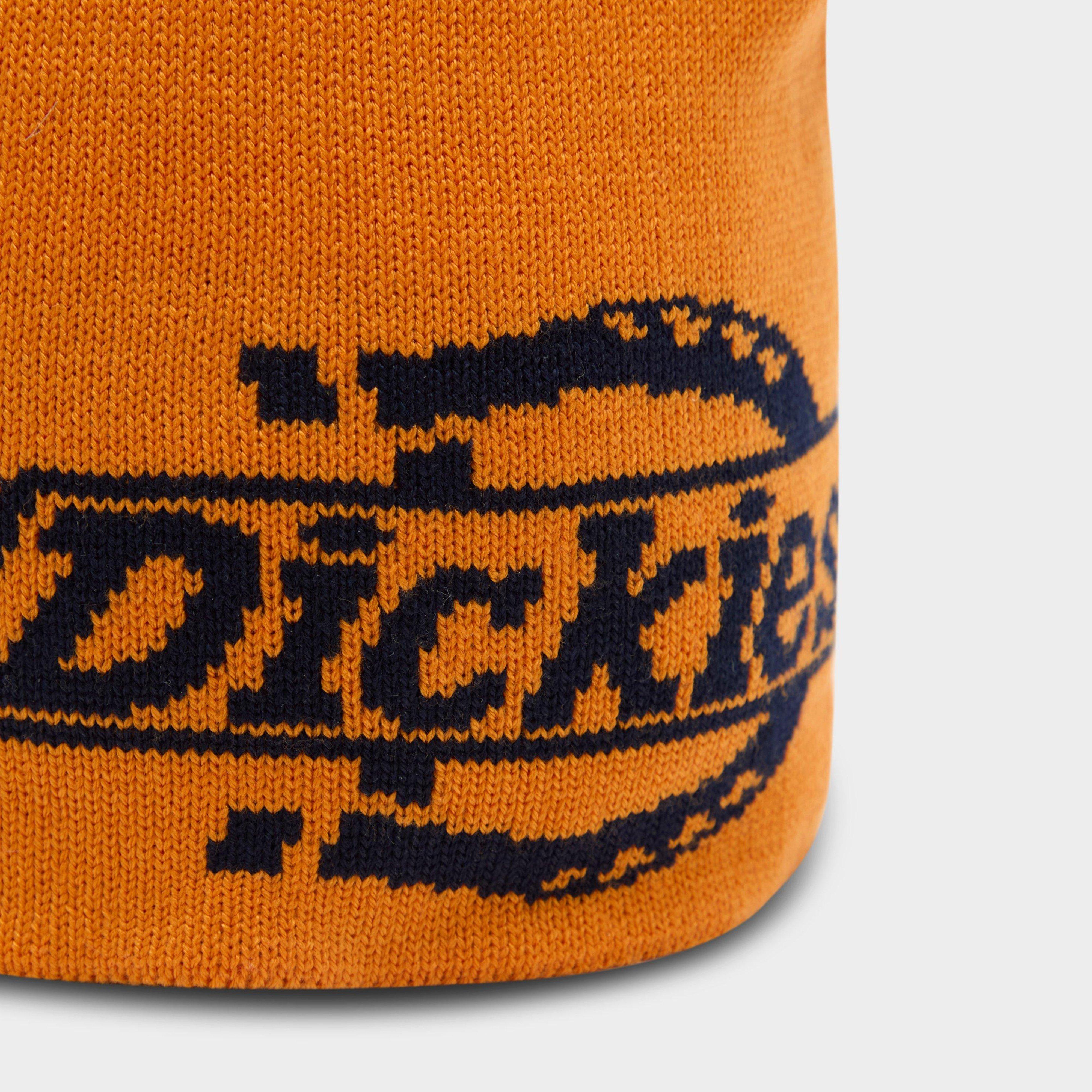 Dickies Summerdale Beanie