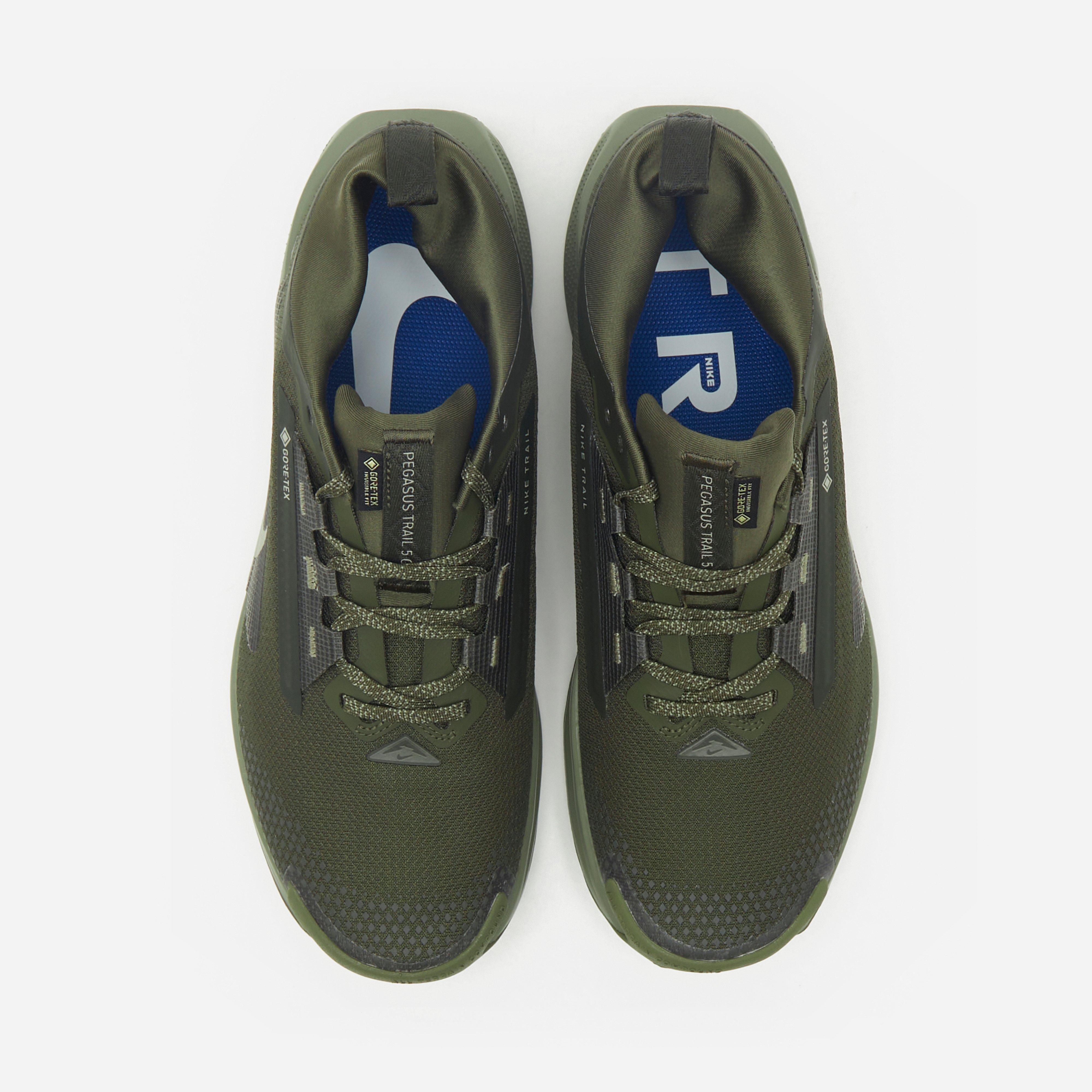Nike Pegasus Trail 5 GORE-TEX