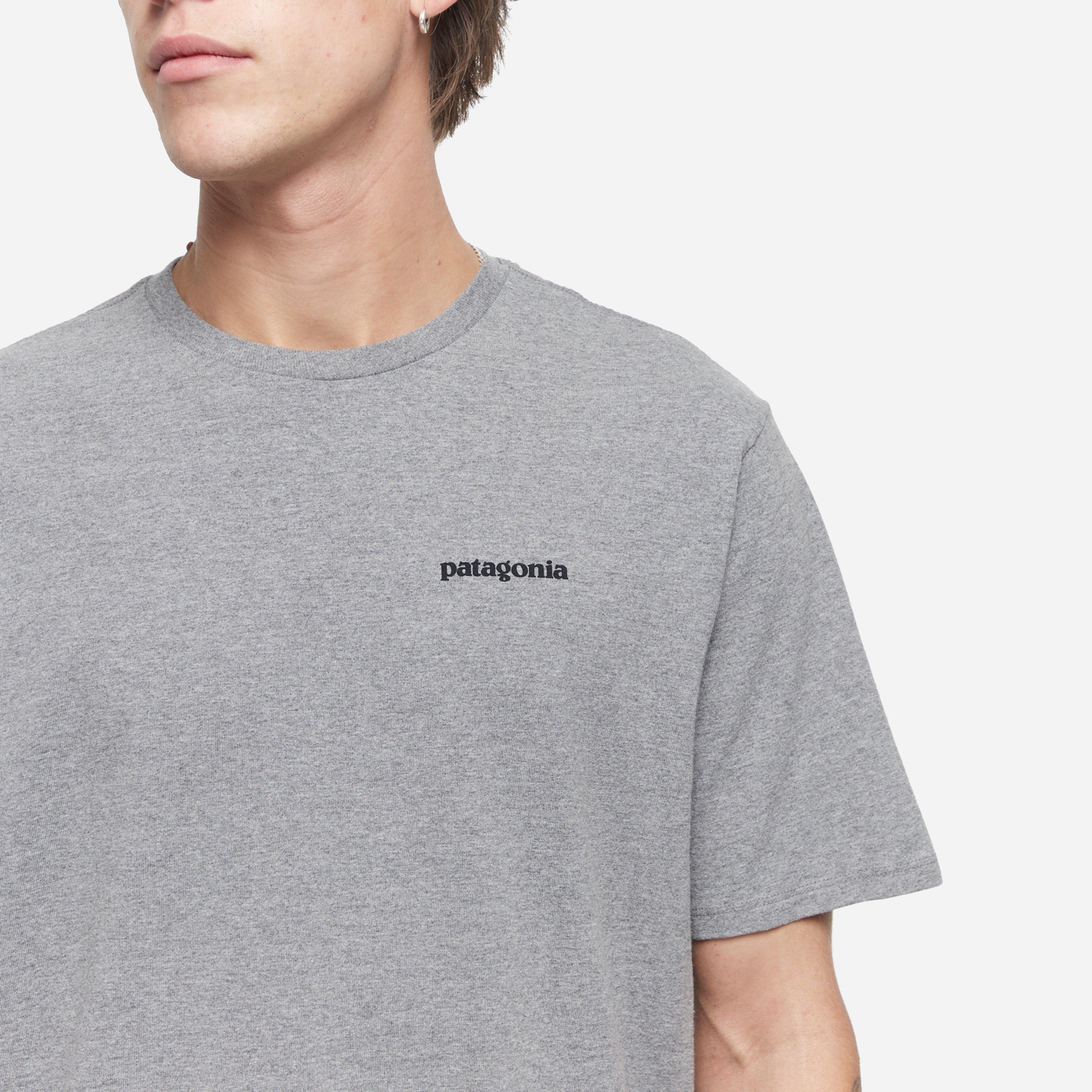 Patagonia Fitz Roy Icon Responsbili-Tee T-Shirt