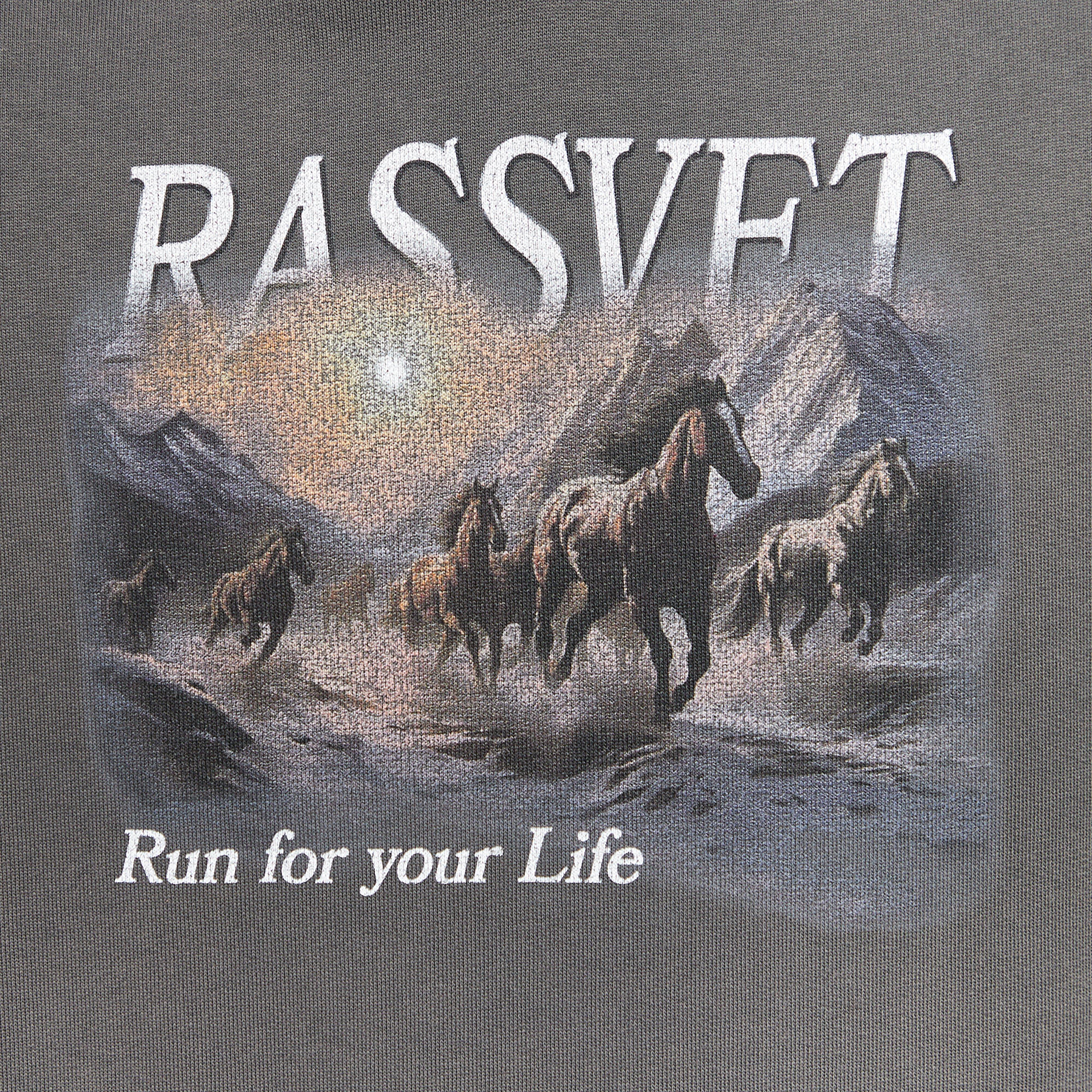 Rassvet Horses Raglan Hoodie
