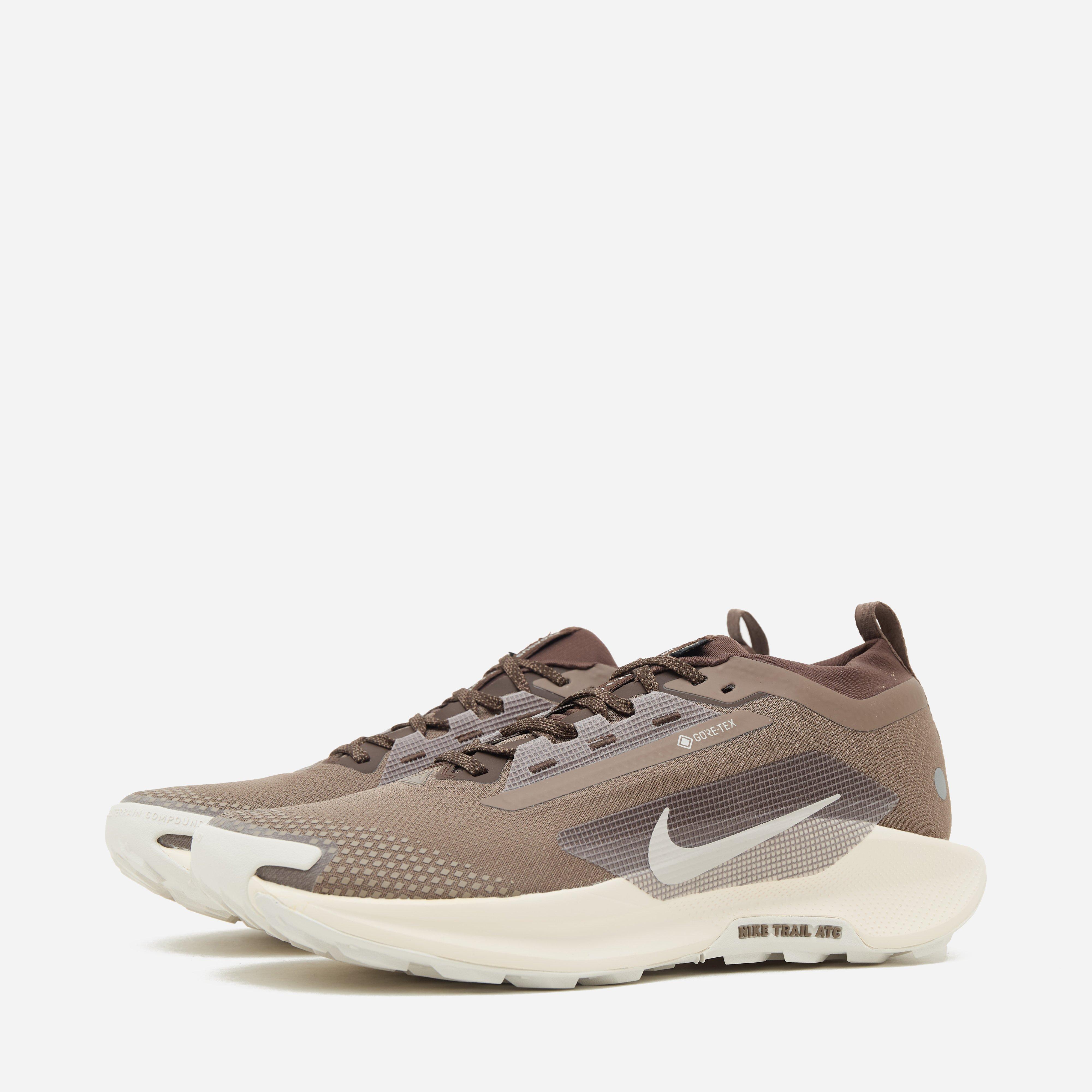 Nike Pegasus Trail 5 GORE-TEX