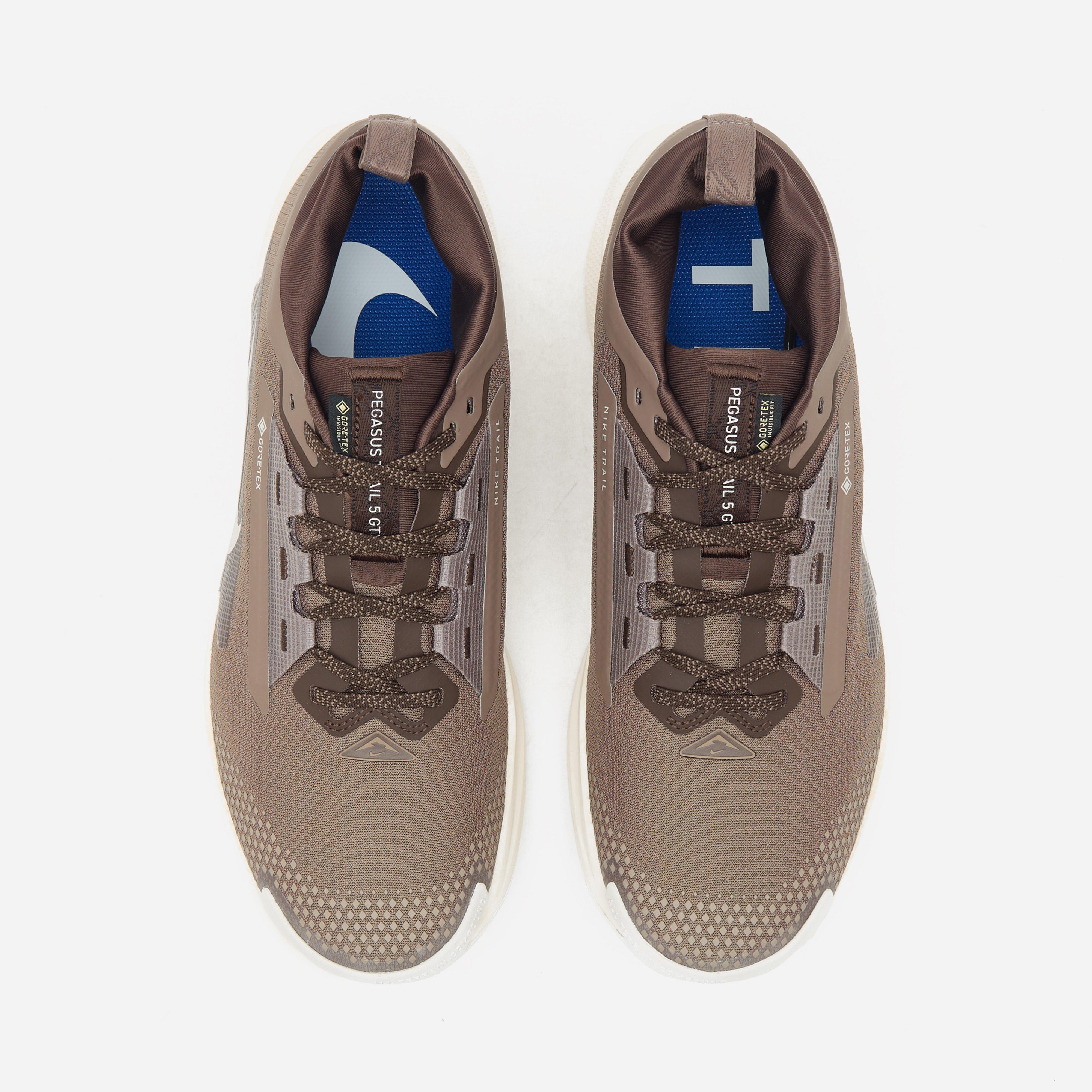 Nike Pegasus Trail 5 GORE-TEX