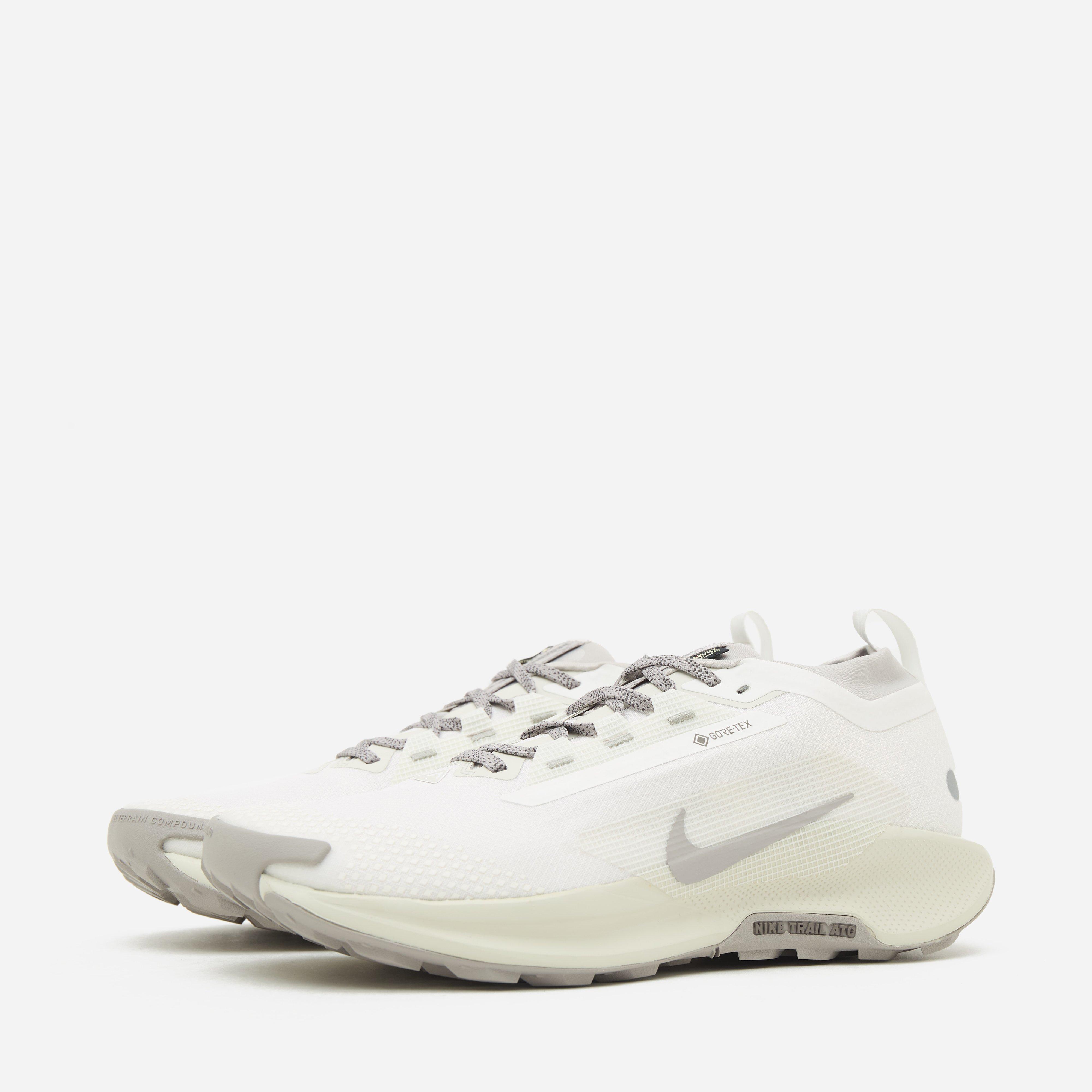 Nike Pegasus Trail 5 GORE-TEX