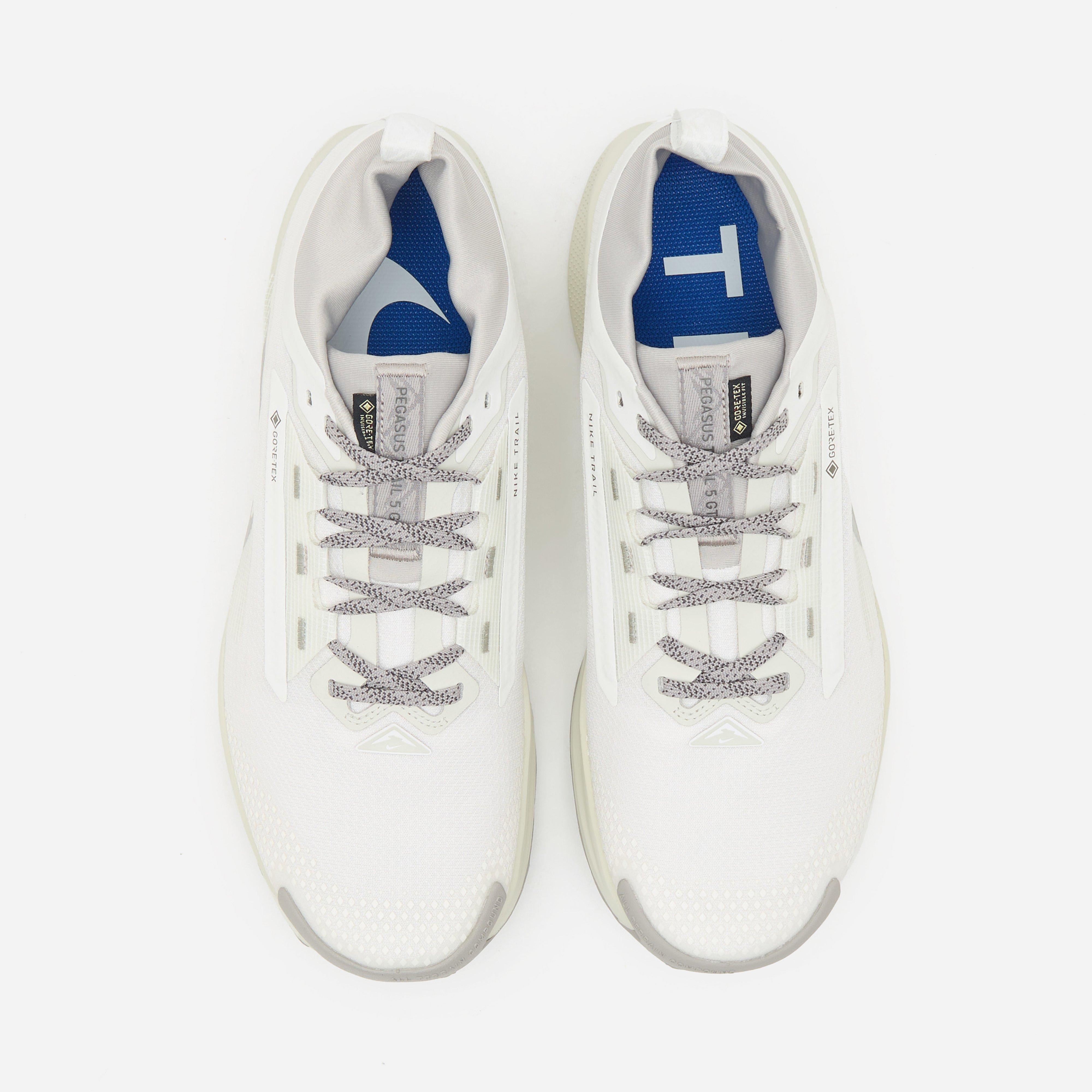 Nike Pegasus Trail 5 GORE-TEX