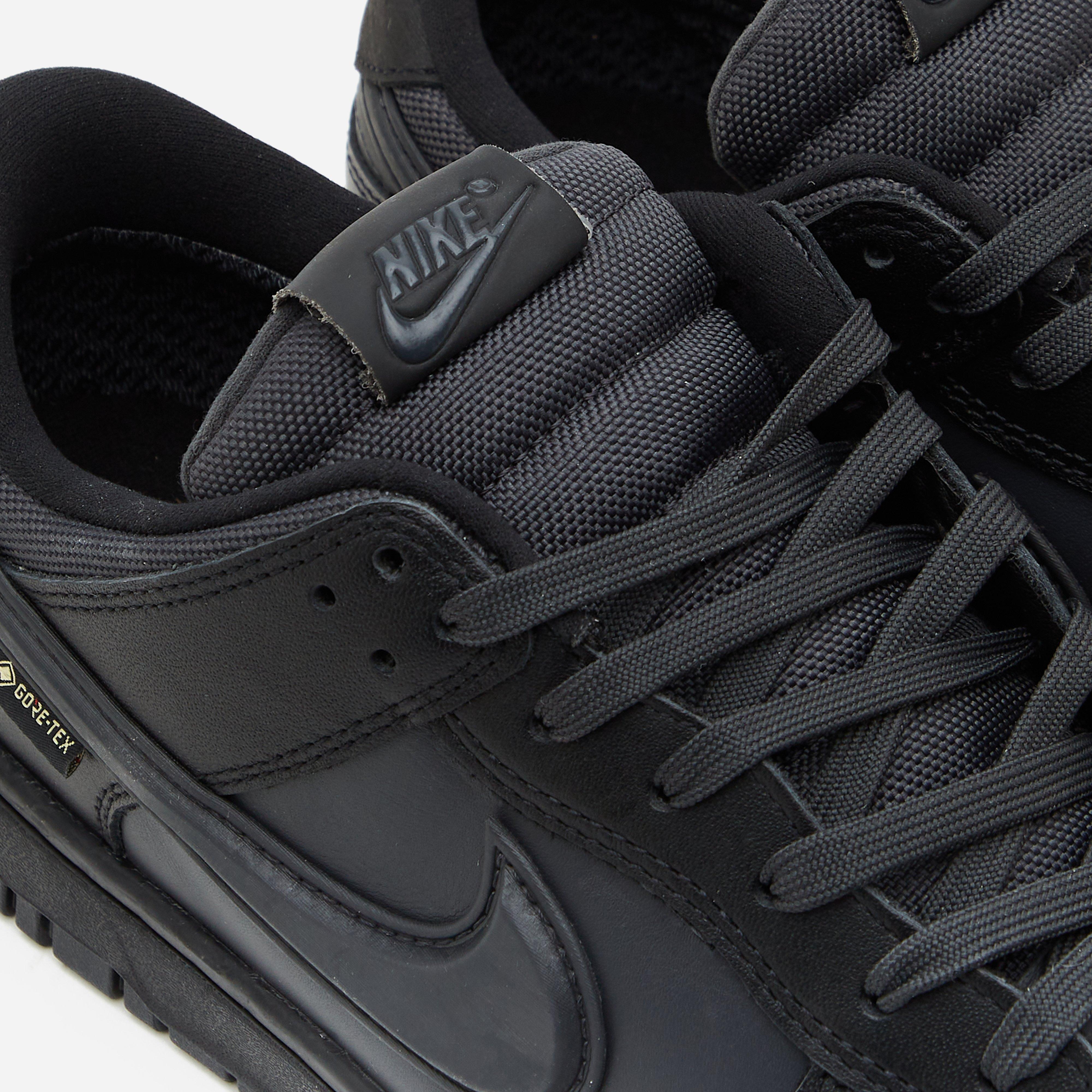 Nike Dunk Low GORE-TEX