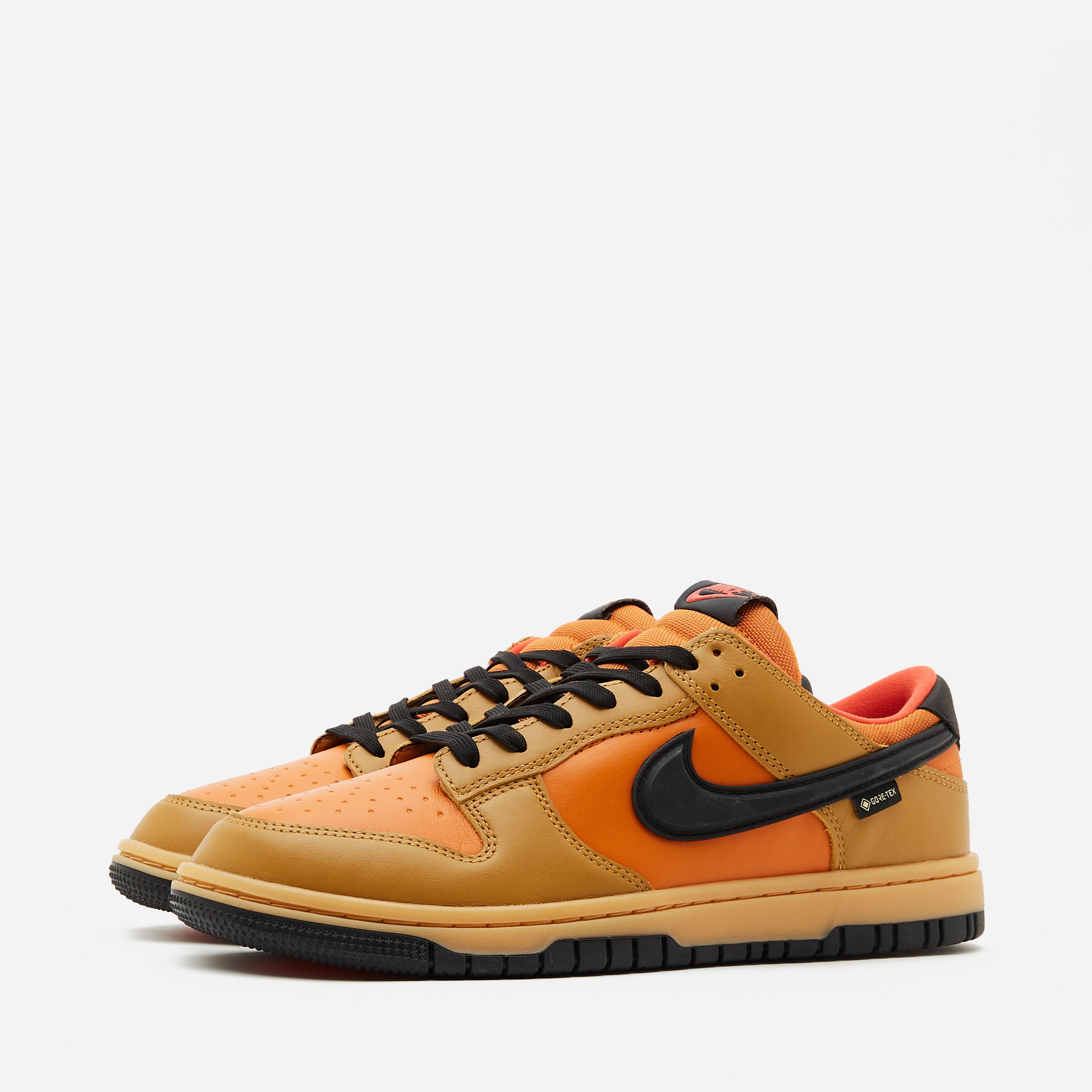 Nike Dunk Low GORE-TEX