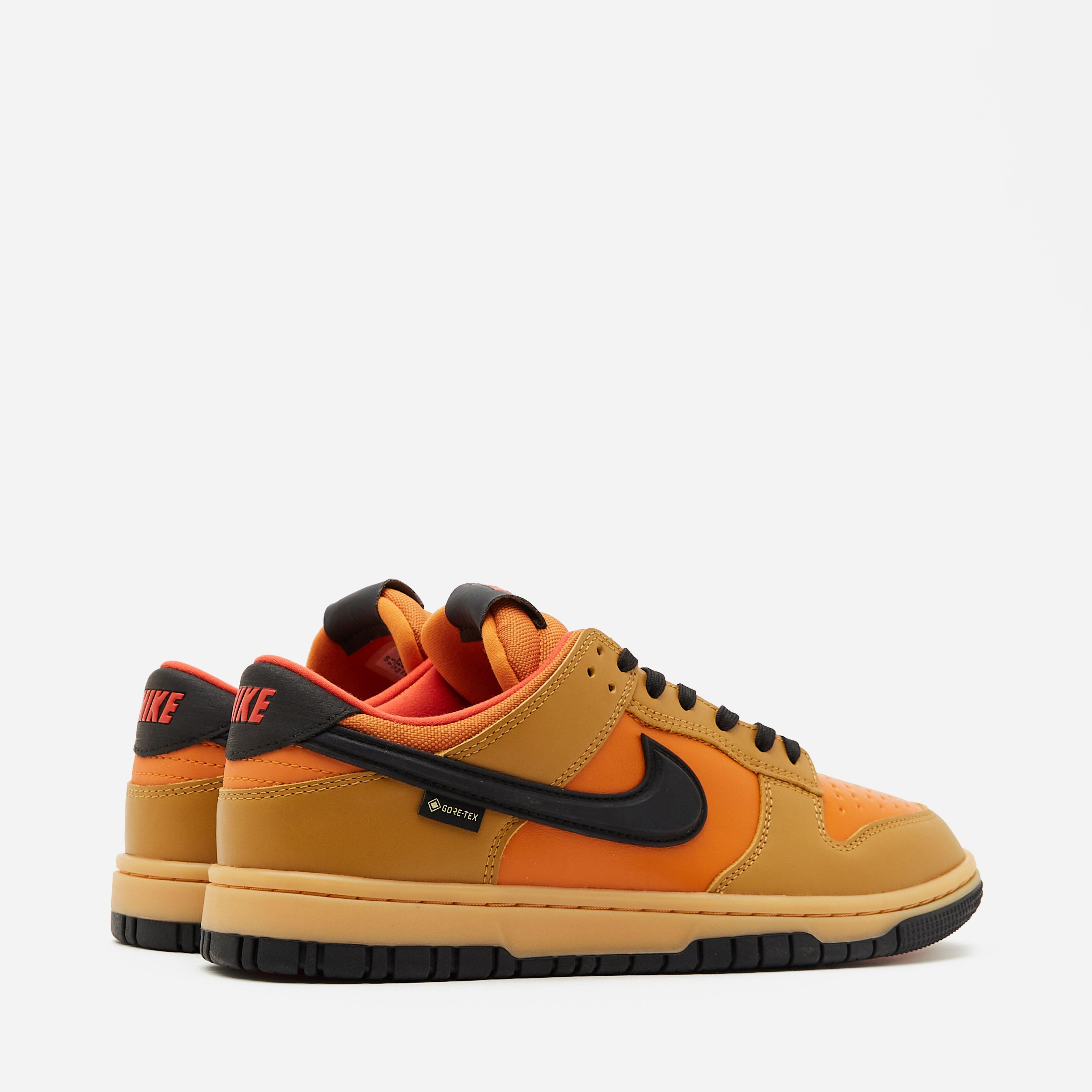 Nike Dunk Low GORE-TEX