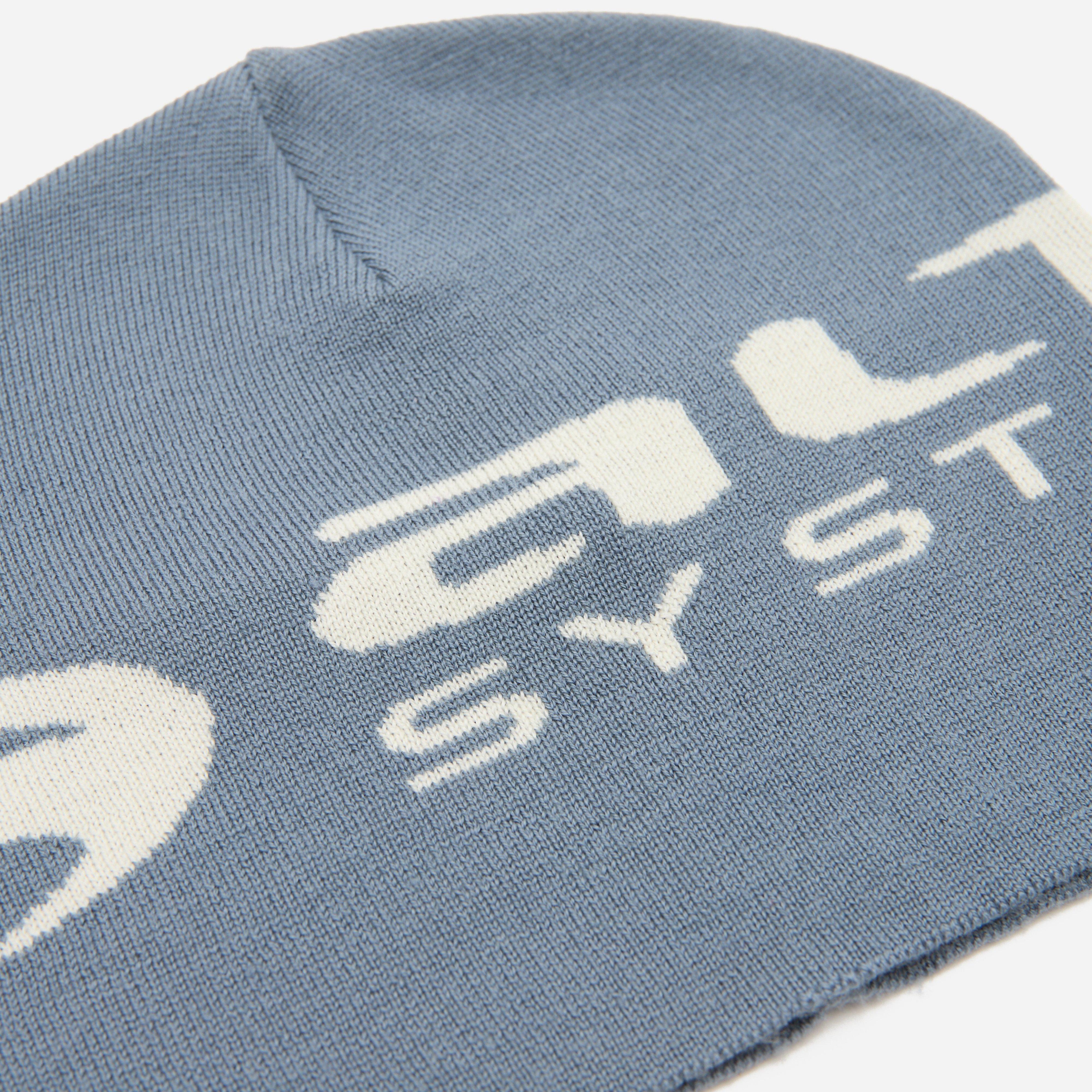 Alte Systems Fleet Beanie