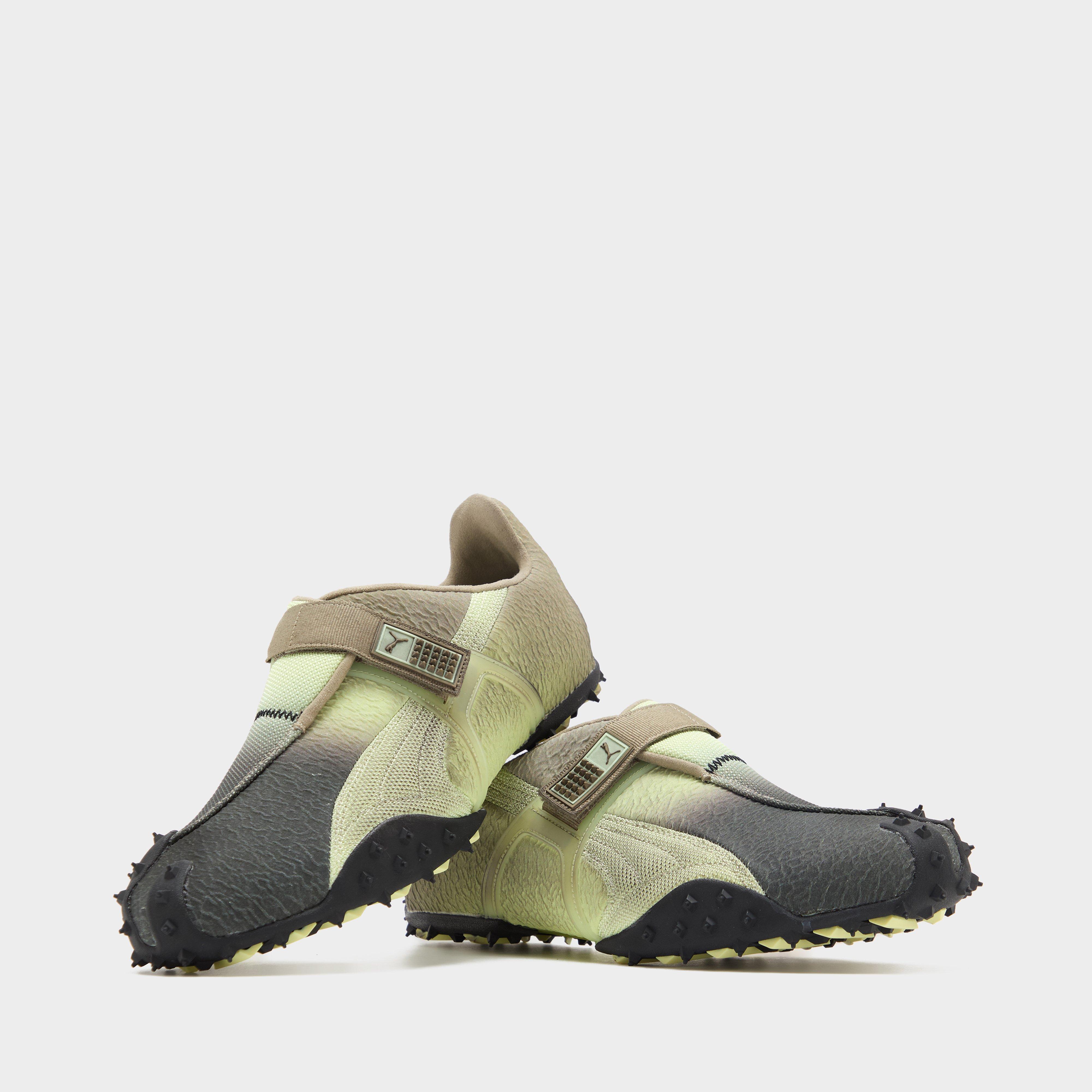 PUMA RPT-2