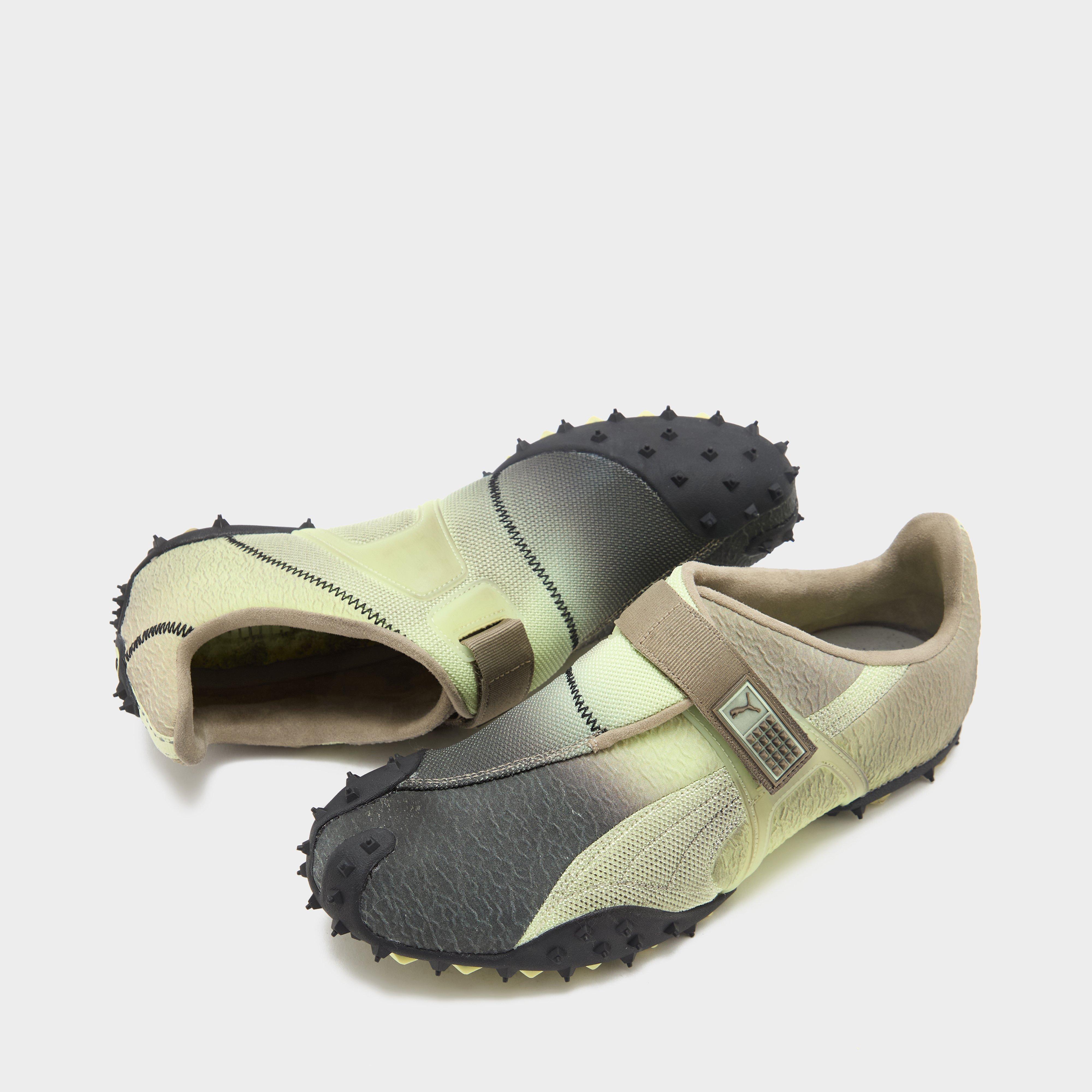 PUMA RPT-2