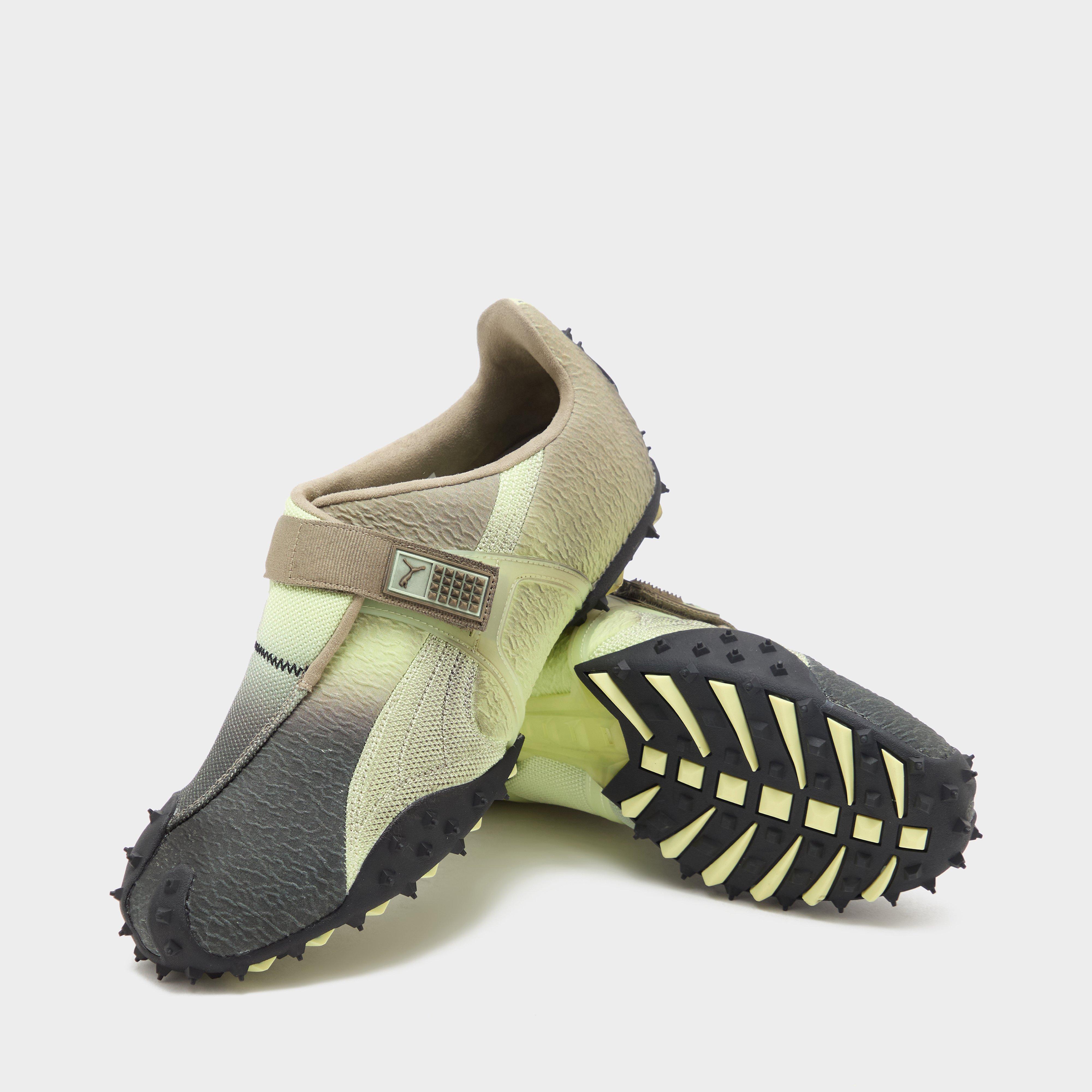 PUMA RPT-2