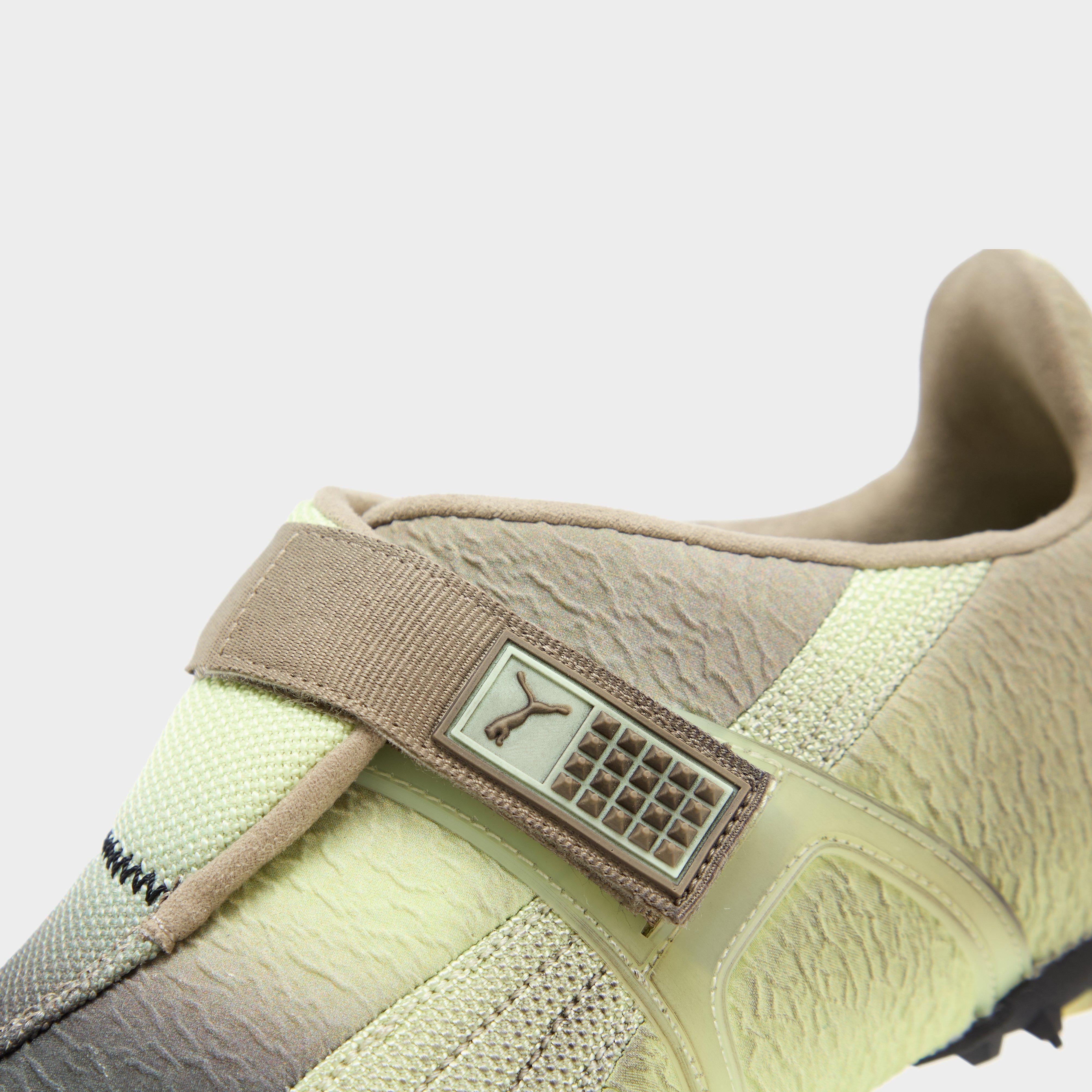 PUMA RPT-2