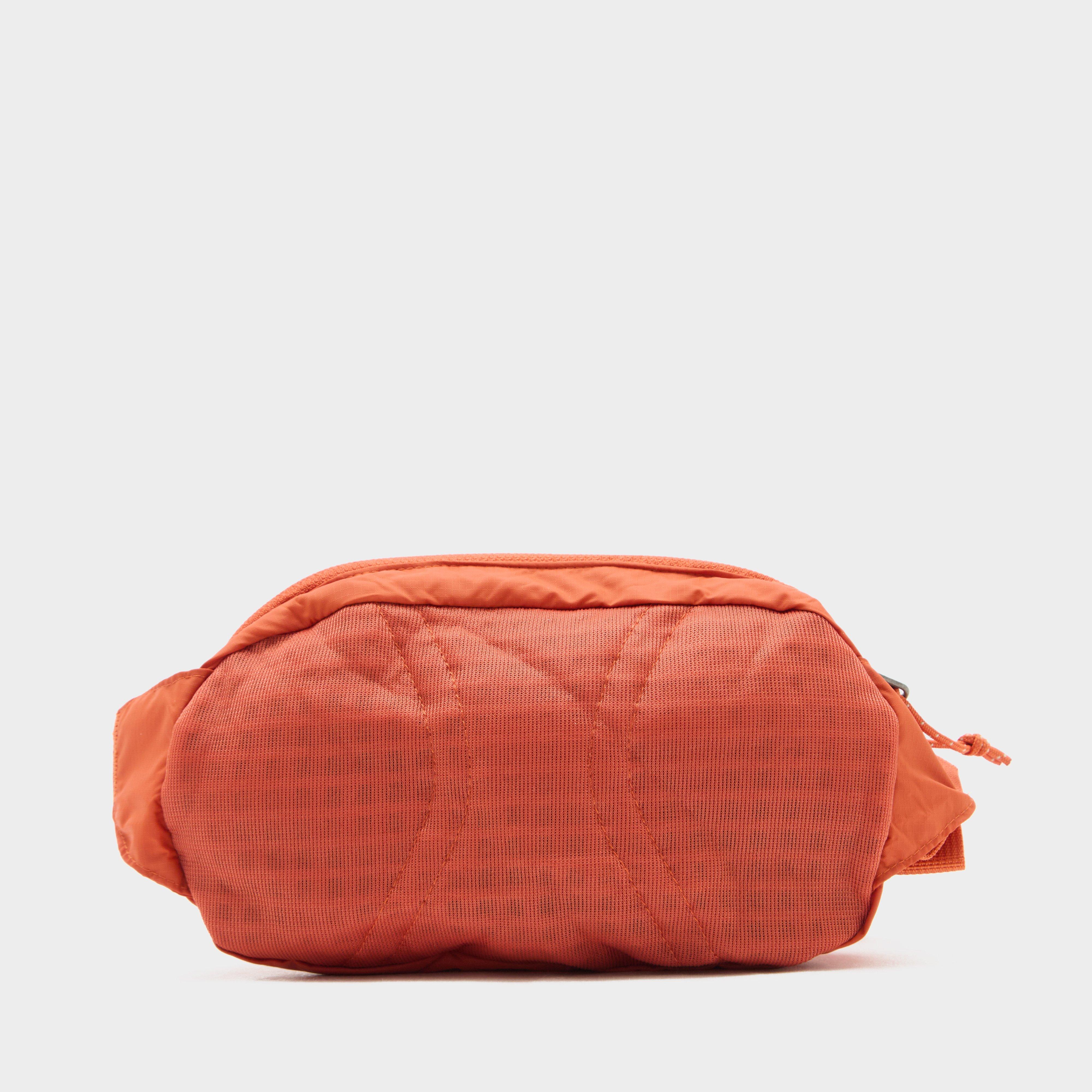 Patagonia Mini Hip Pack