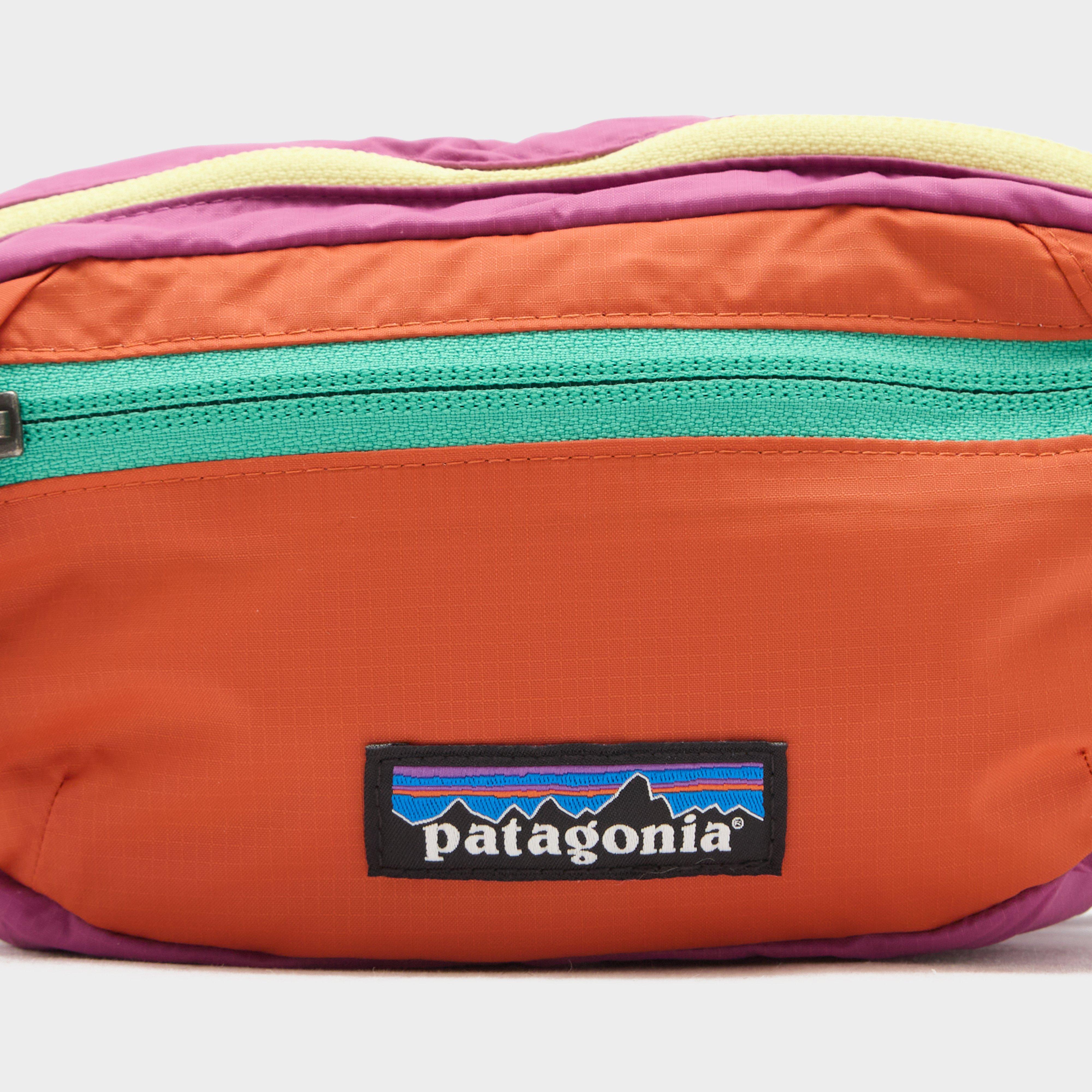 Patagonia Mini Hip Pack