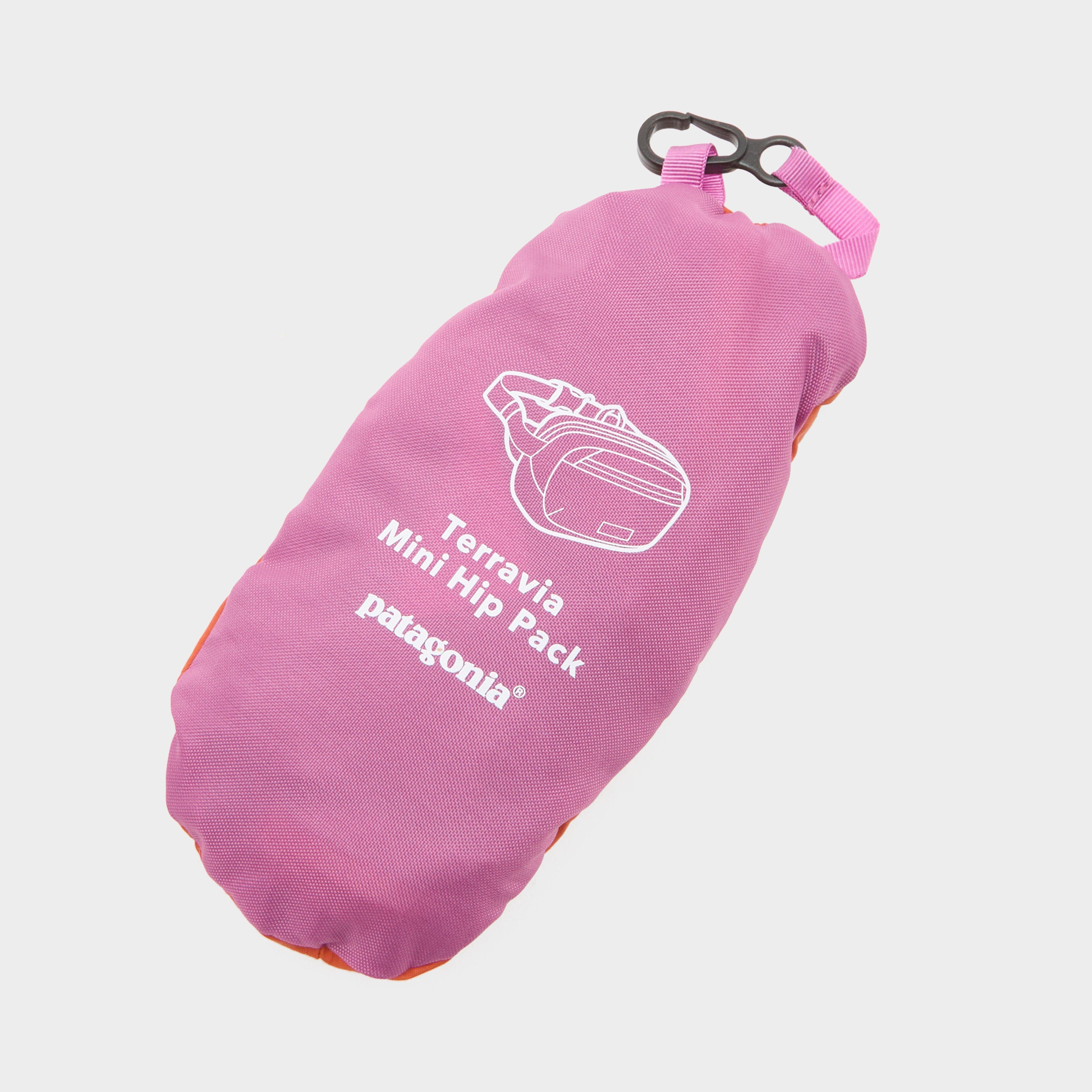 Patagonia Mini Hip Pack