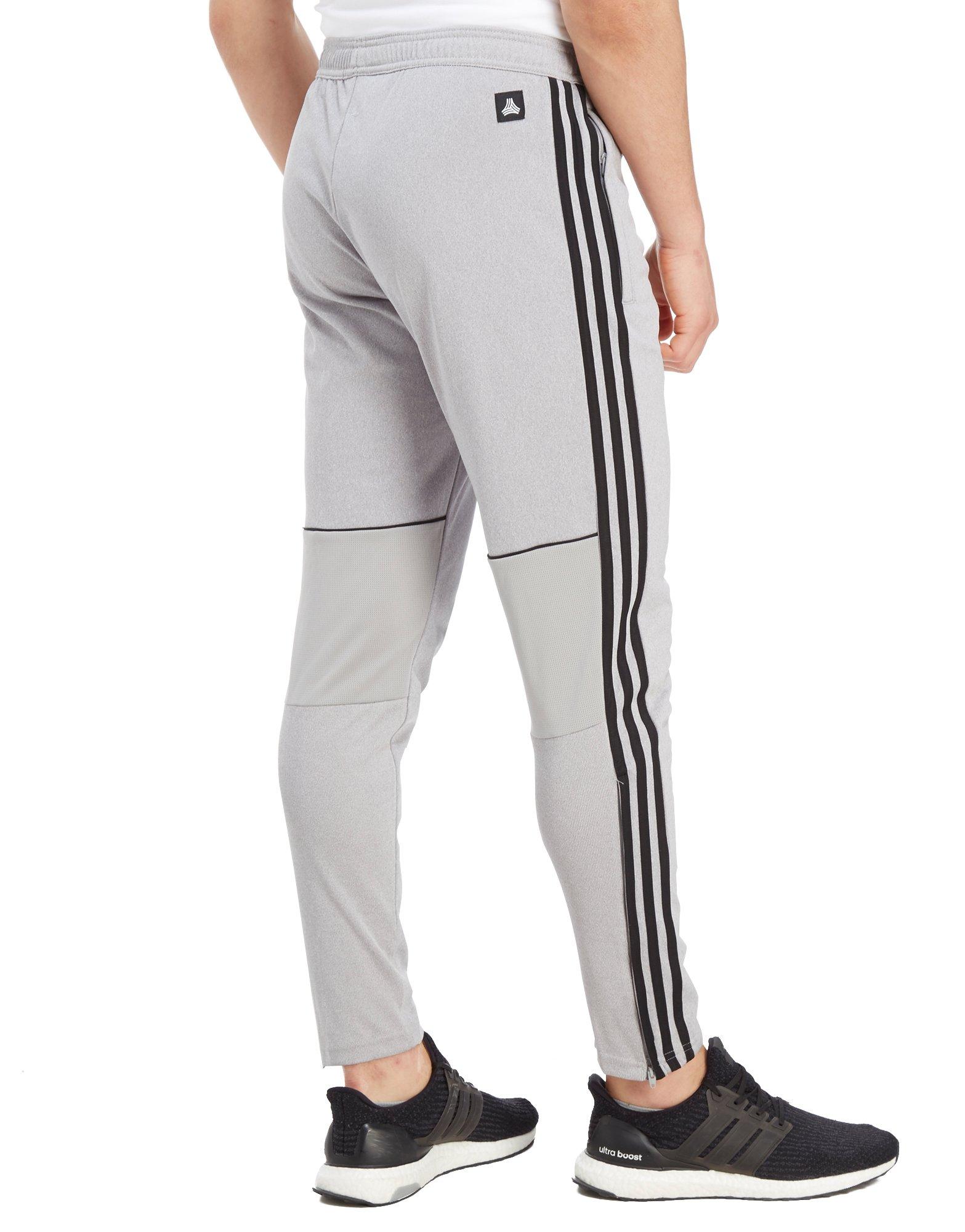 tango track pants