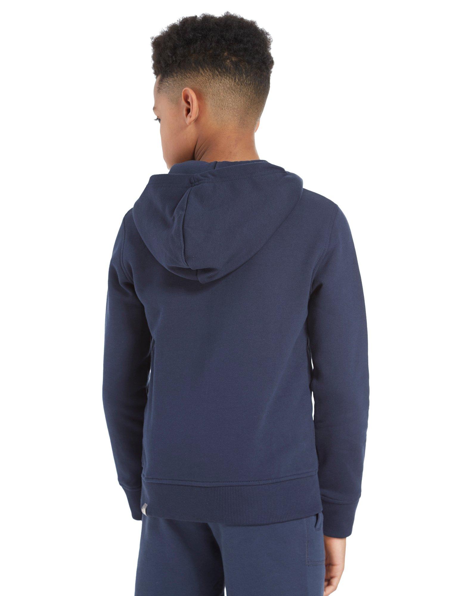 north face drew peak hoodie junior