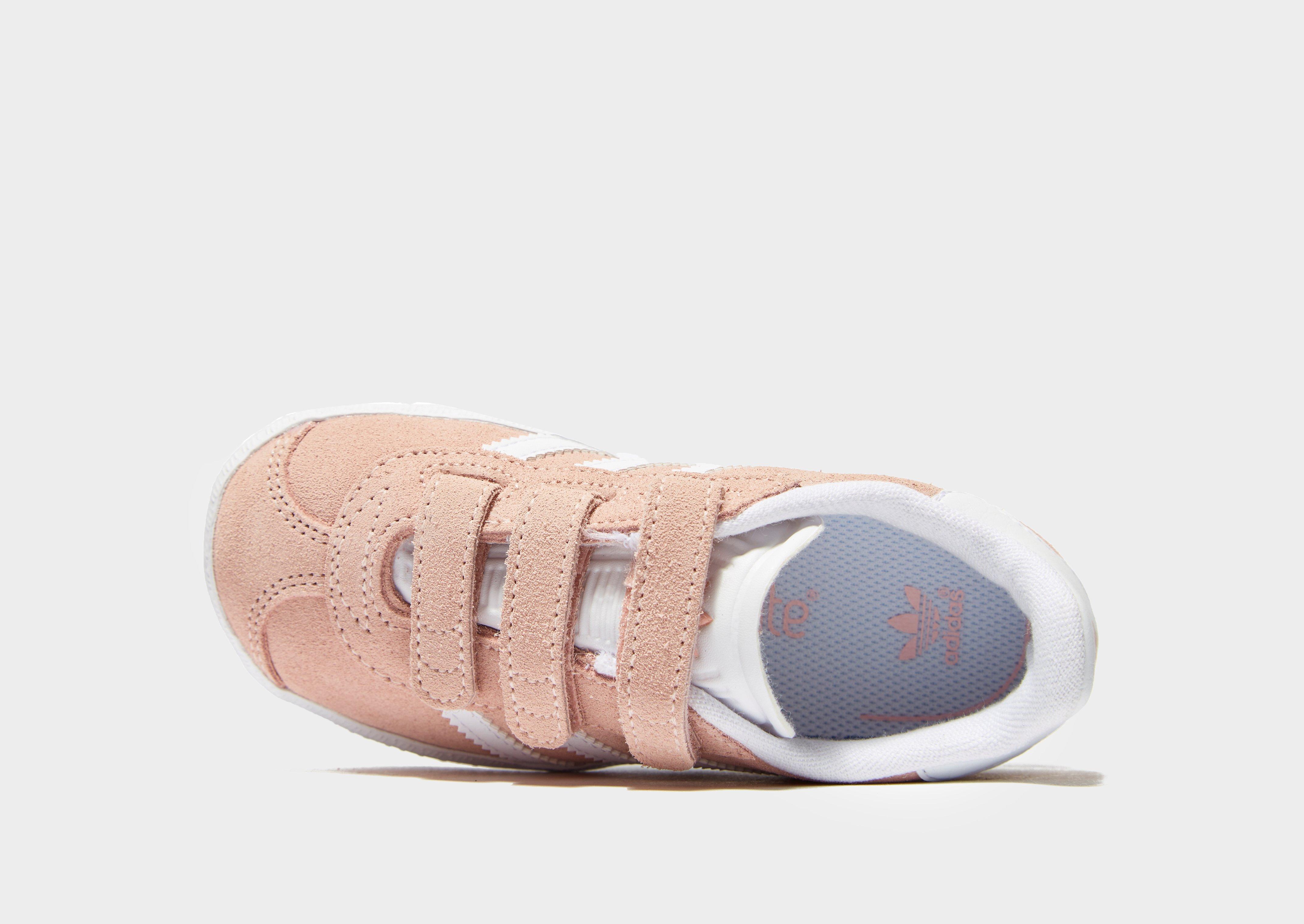 infant gazelles sale