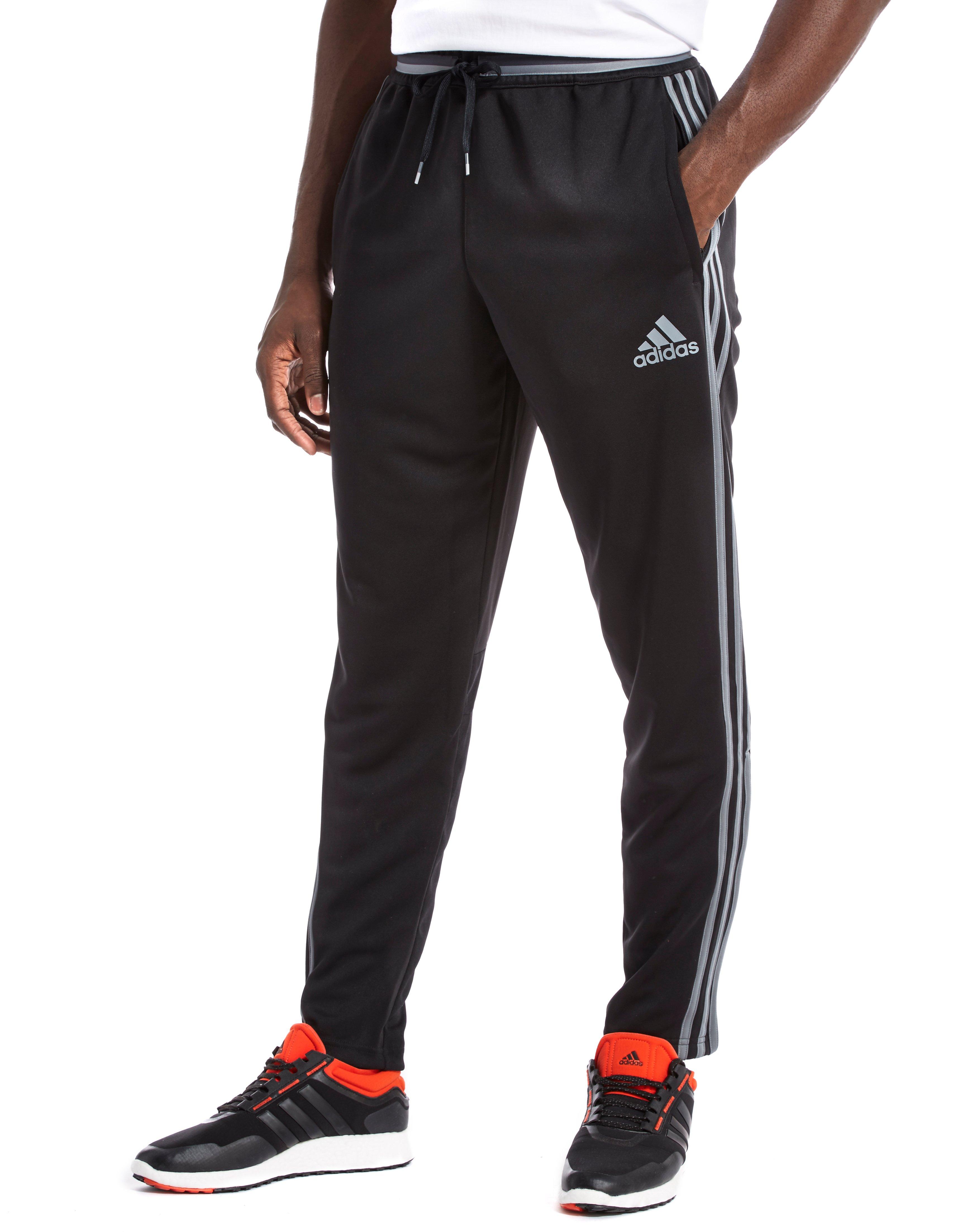 Adidas condivo poly pants online