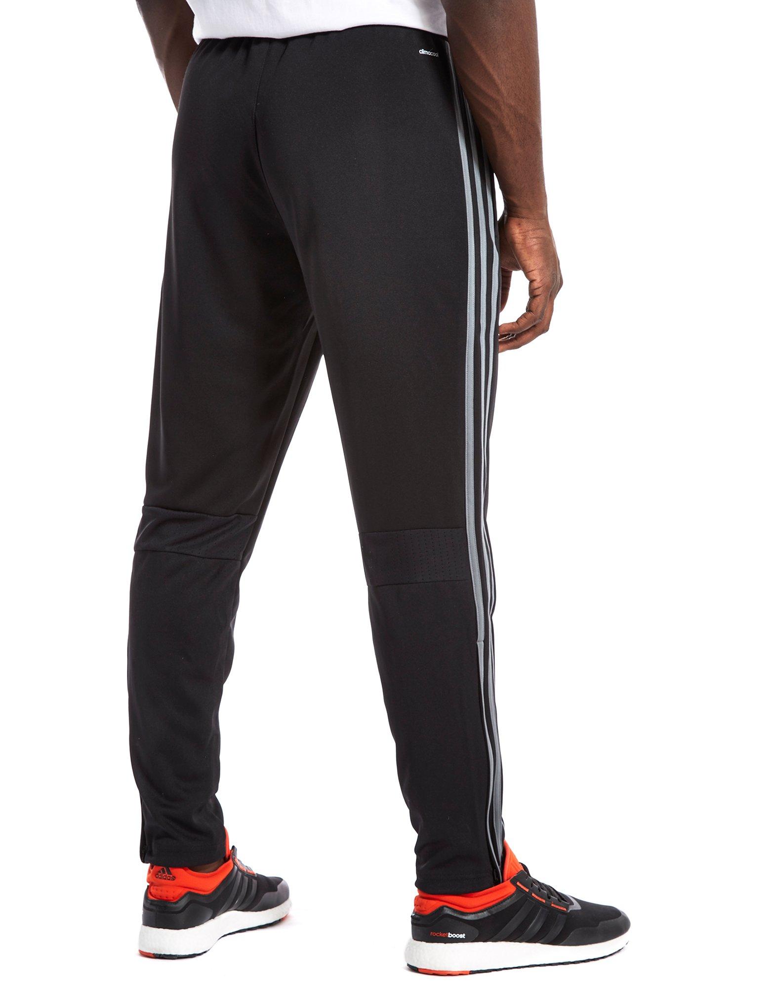adidas Condivo 16 Poly Training Pants