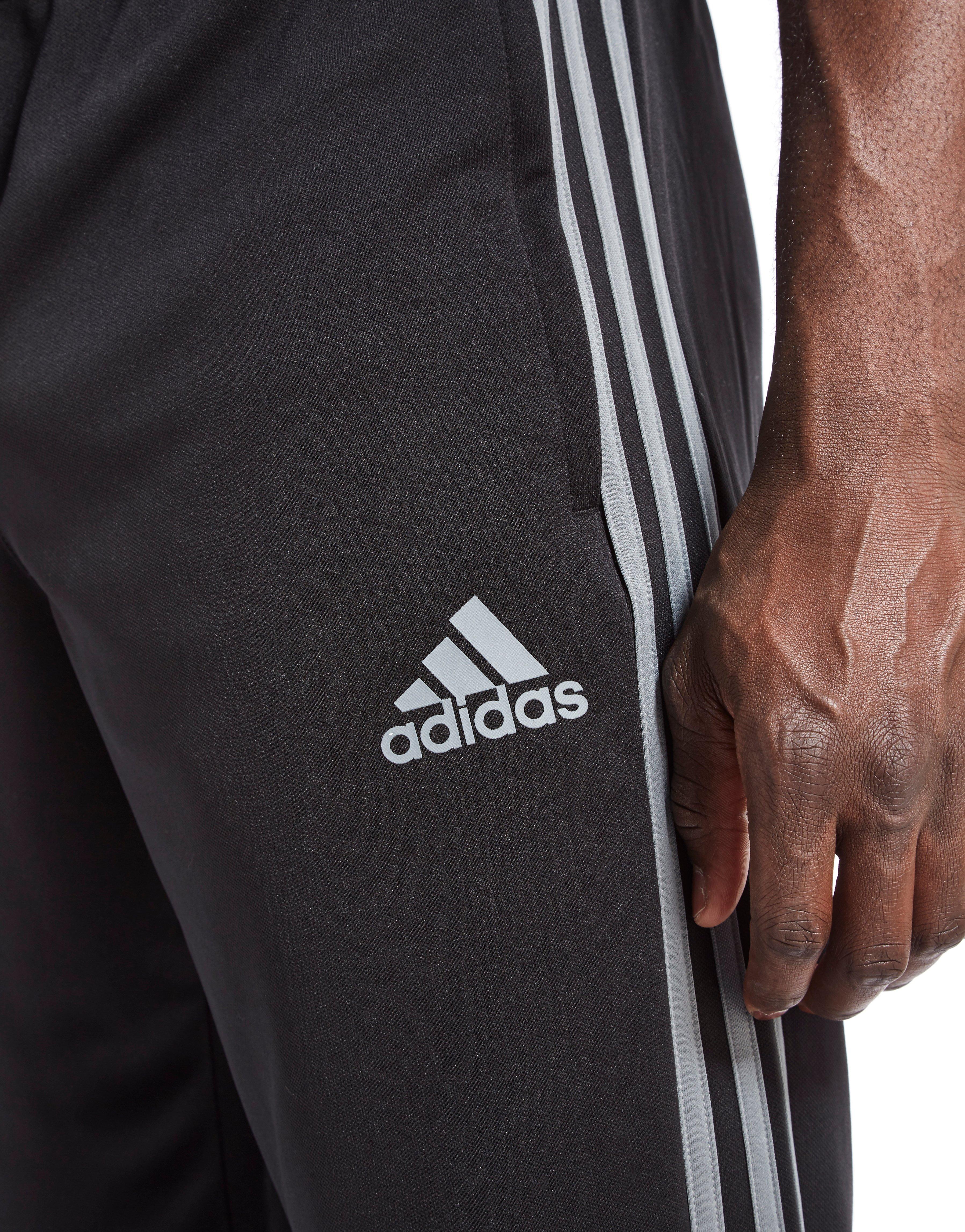 adidas Condivo 16 Poly Training Pants