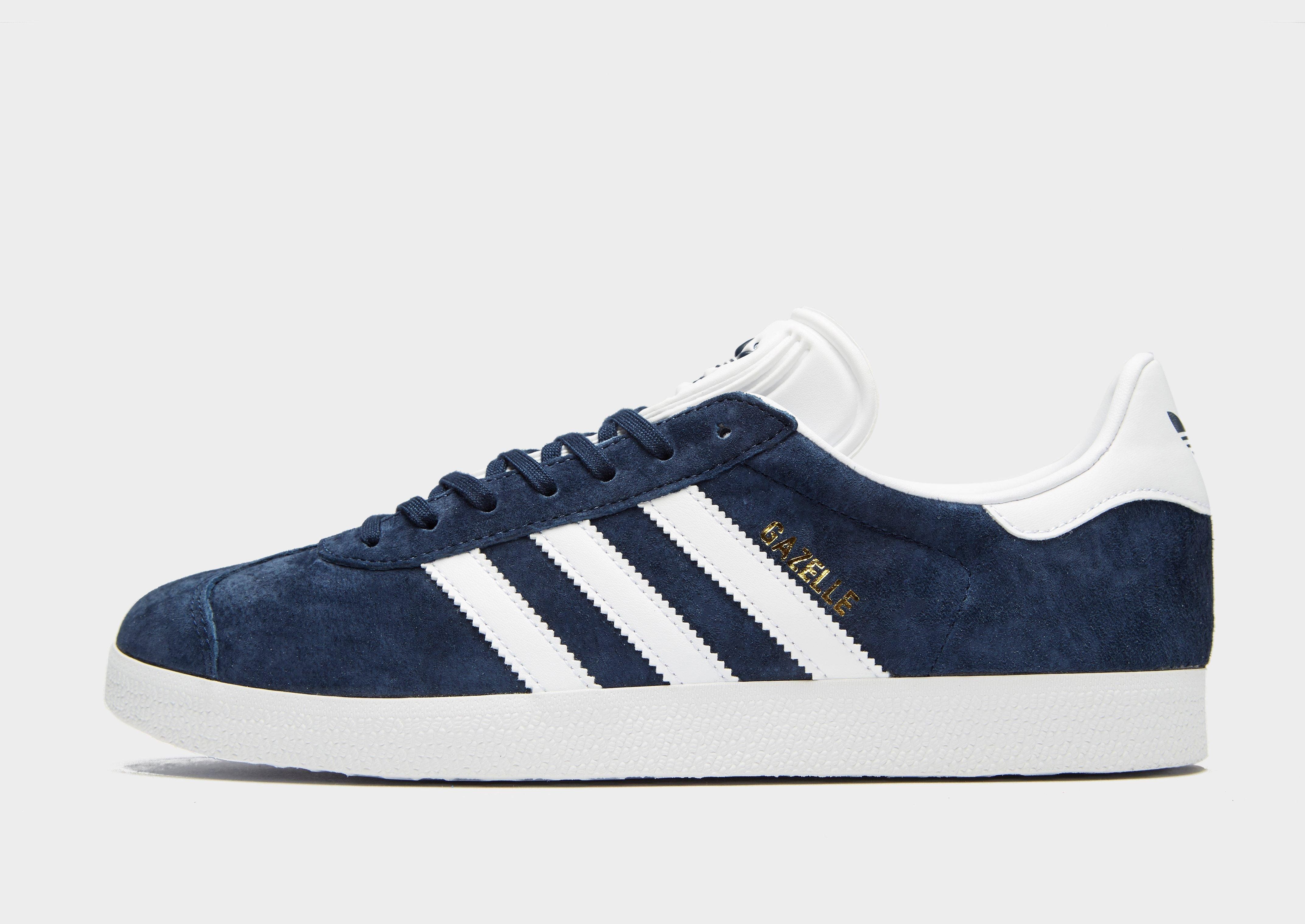 gazelle homme bleu