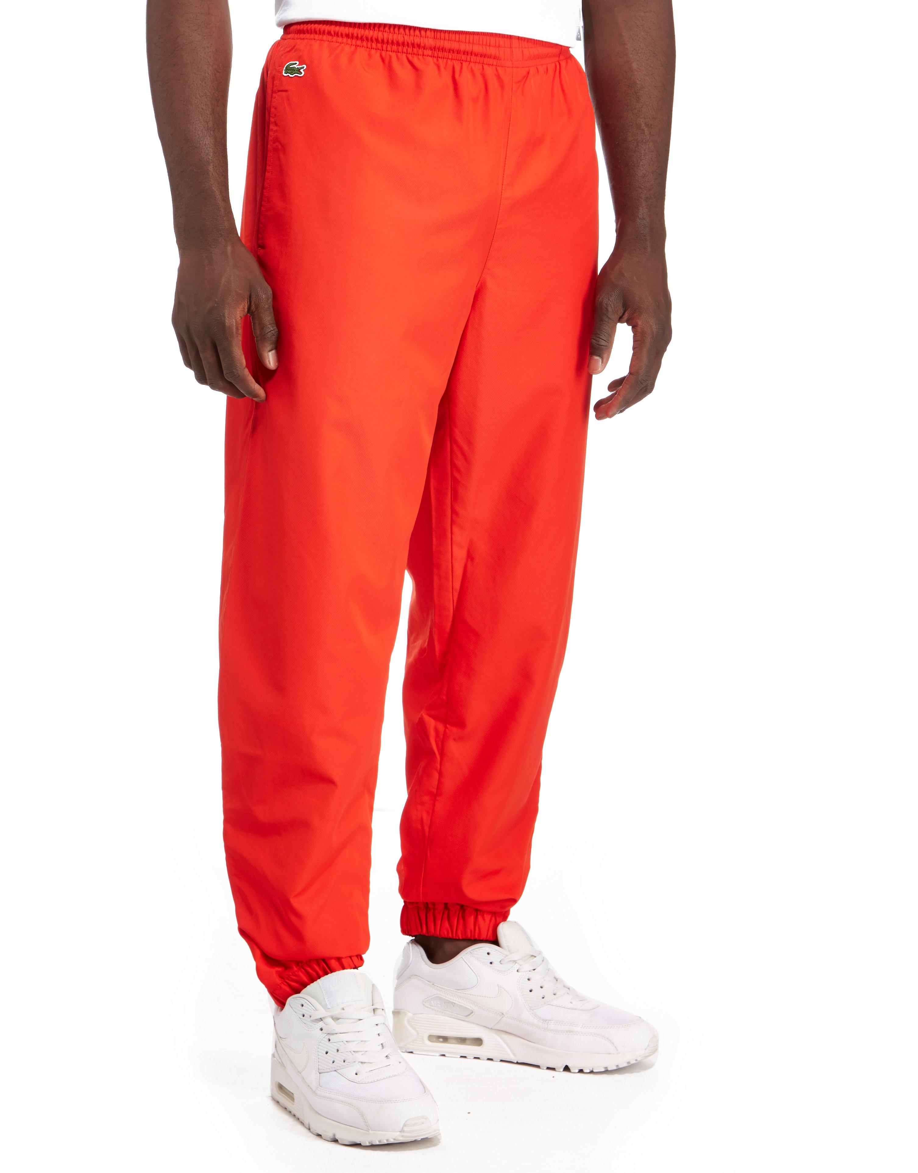 lacoste guppy joggers
