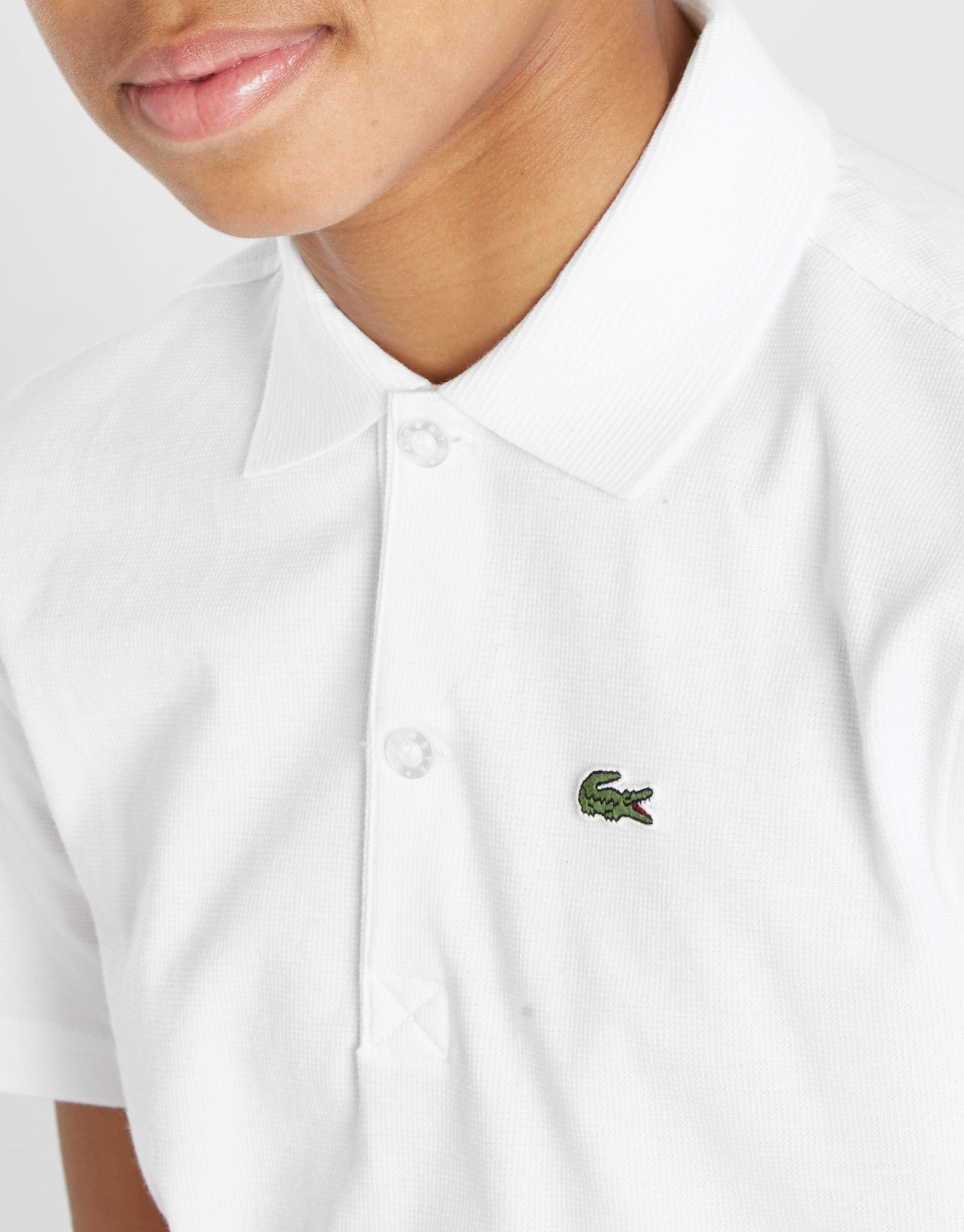 lacoste sports polo