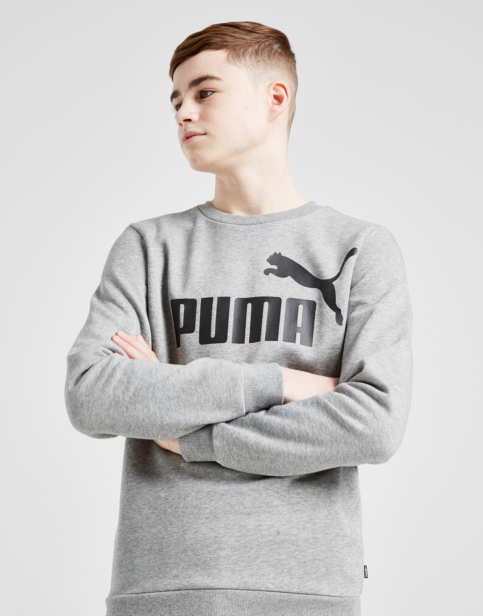 puma grey hoodie junior