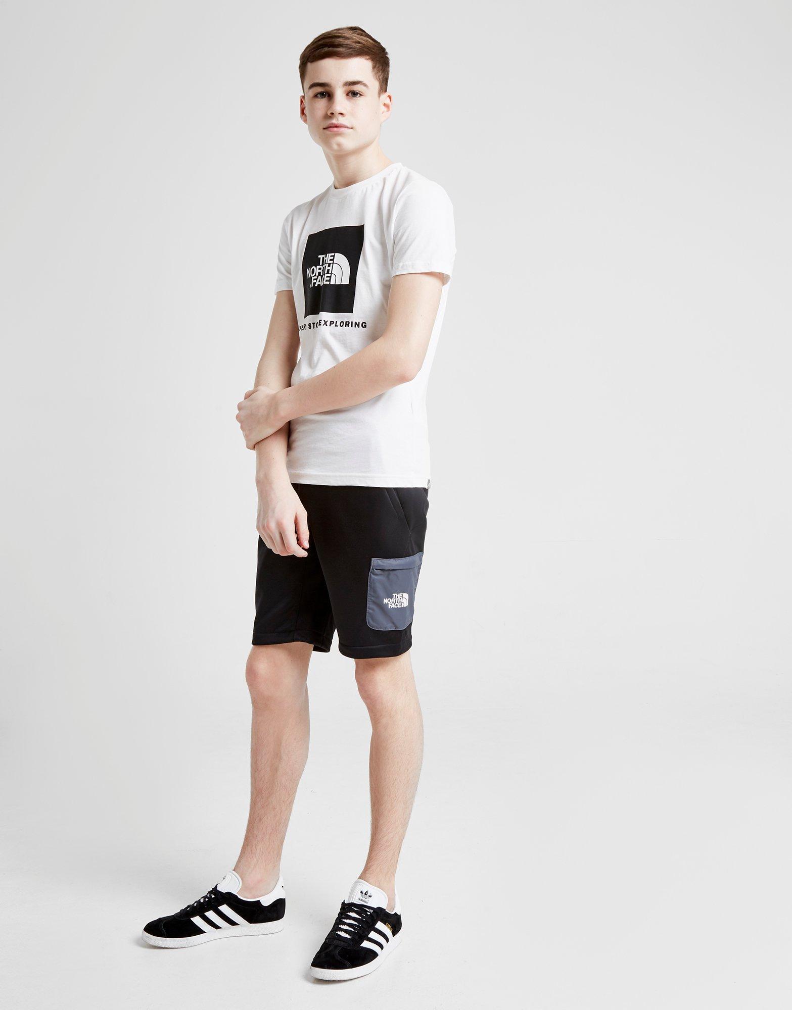 north face mittellegi shorts