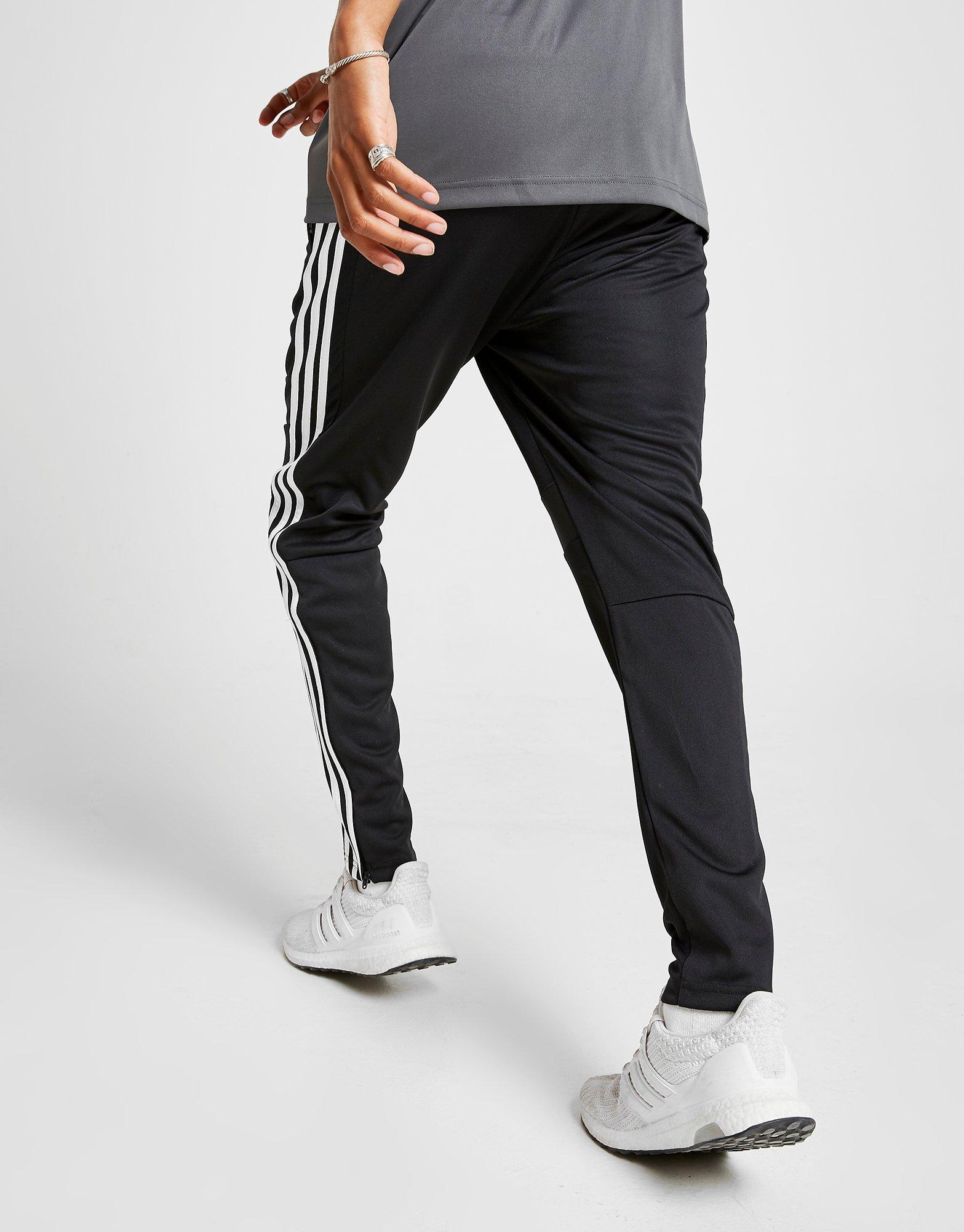 Buy Black adidas Tiro 19 Track Pants
