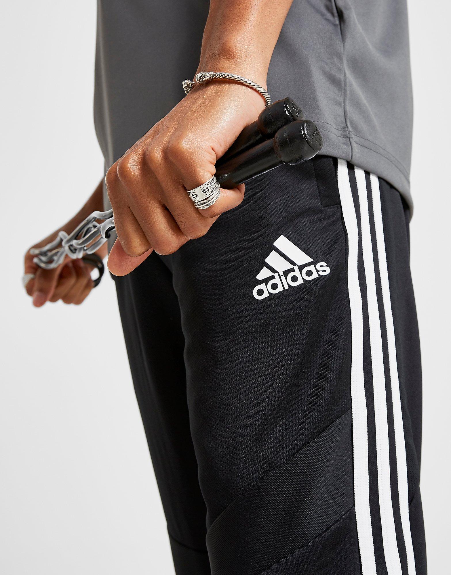 rebel adidas track pants