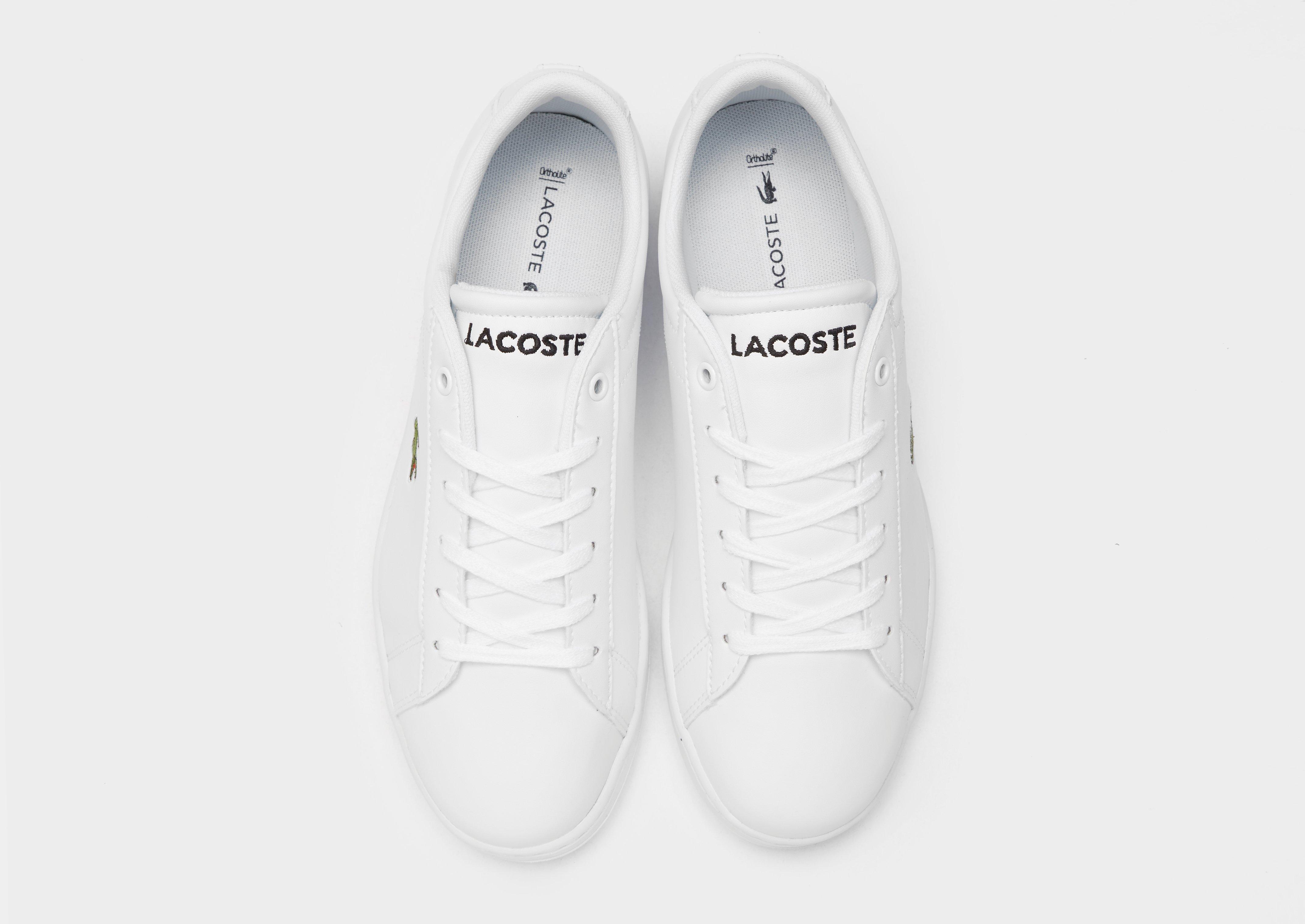 lacoste carnaby junior white