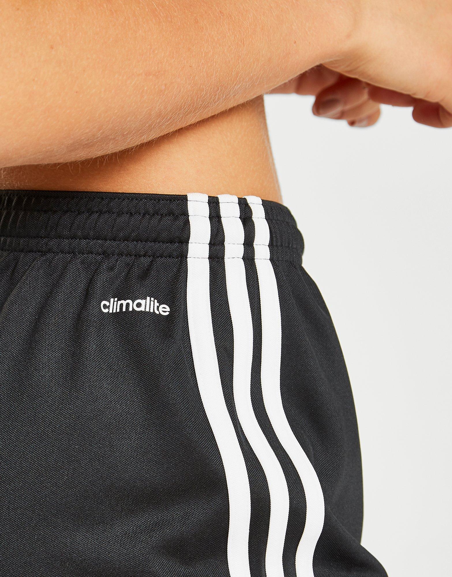 adidas squadra shorts womens