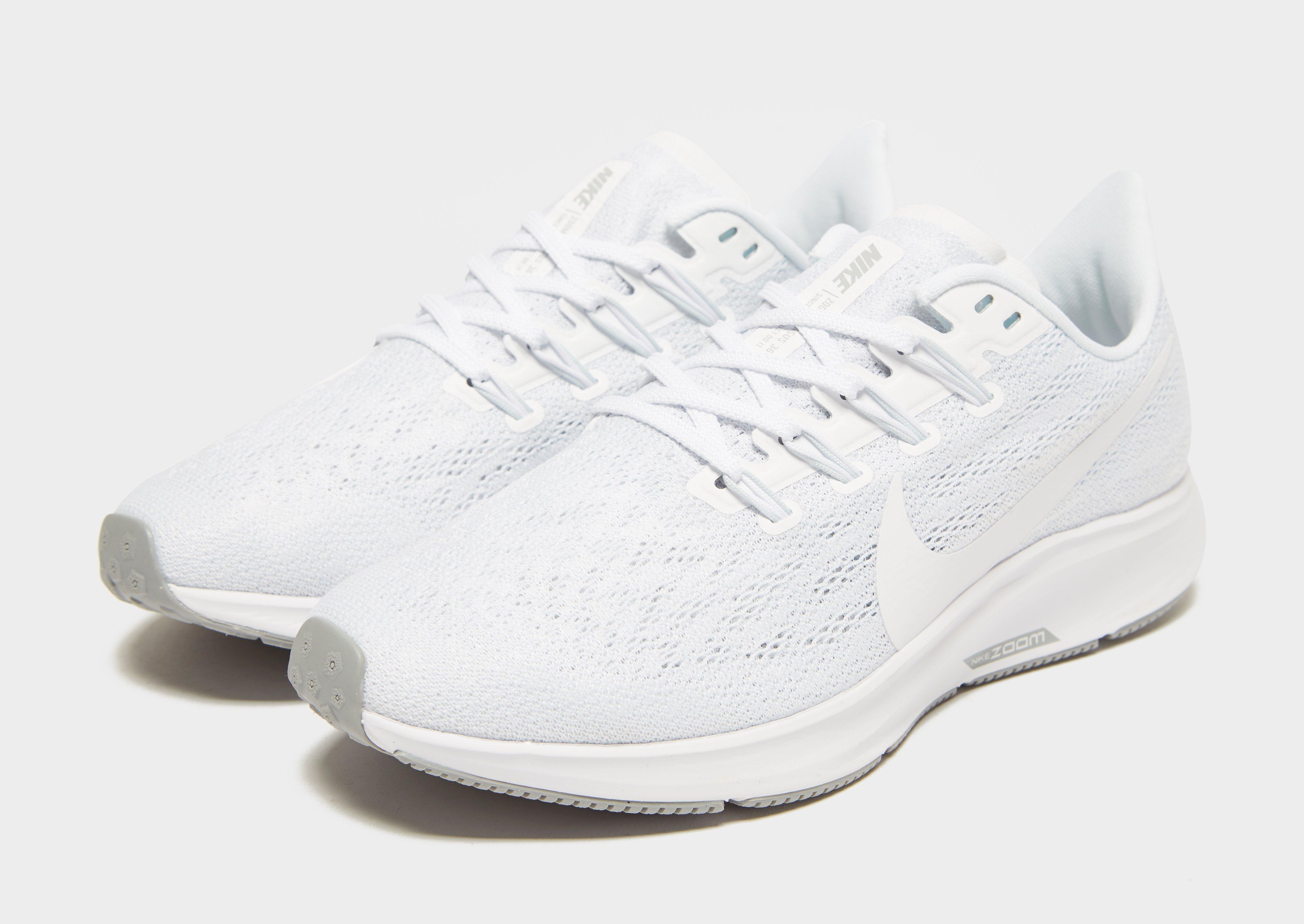pegasus 36 donna
