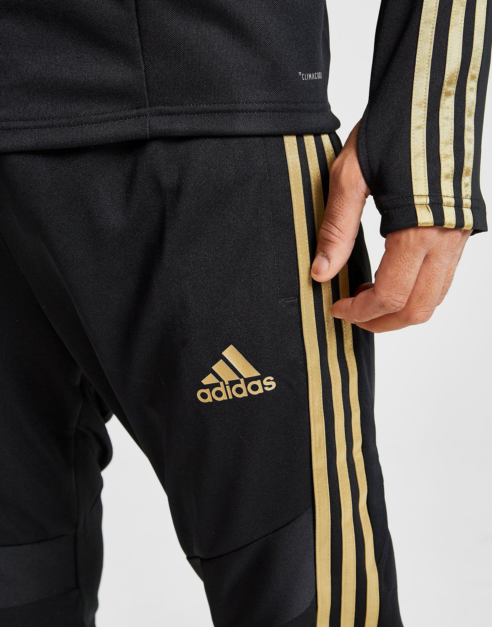 pants adidas real madrid