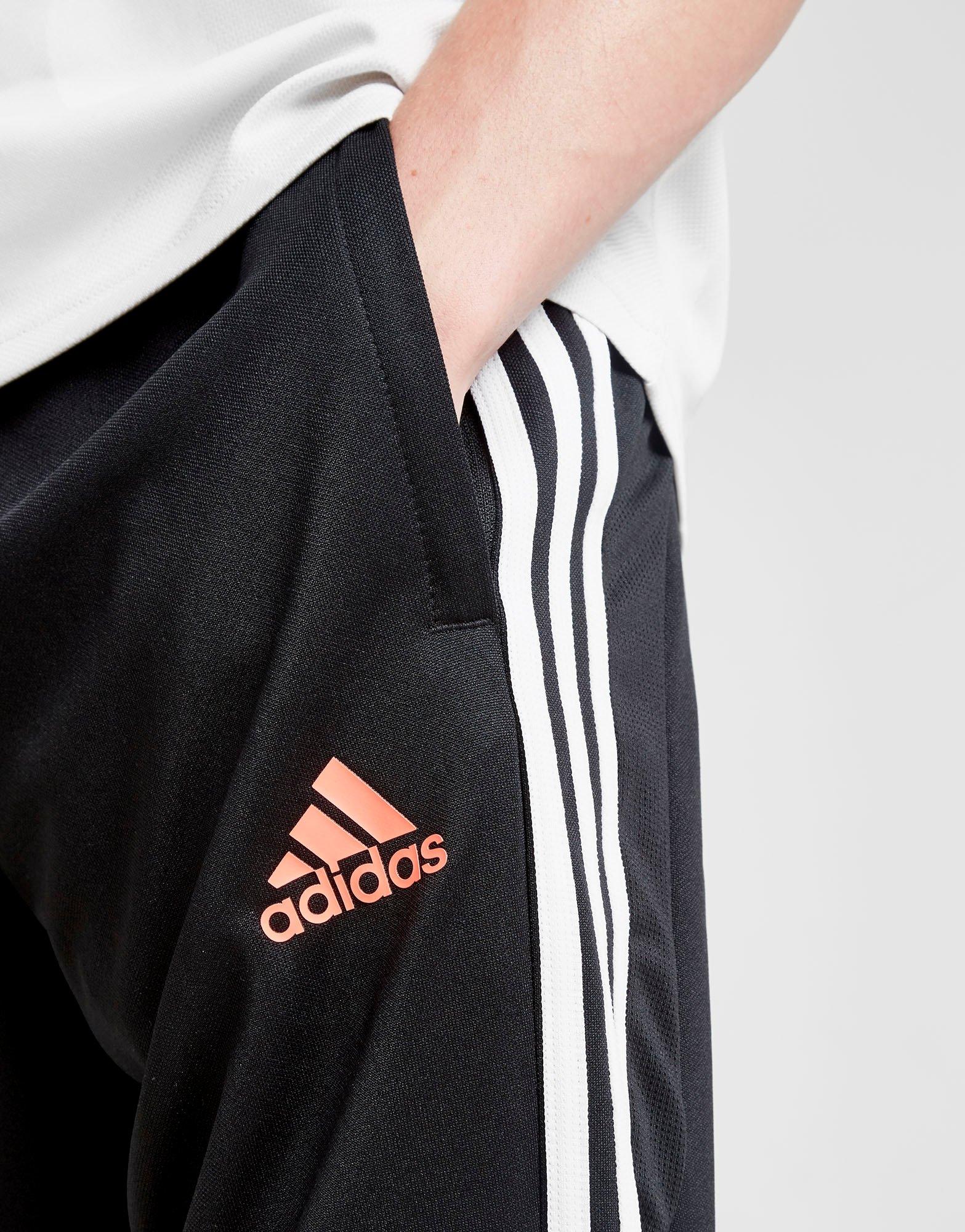 juventus track pants