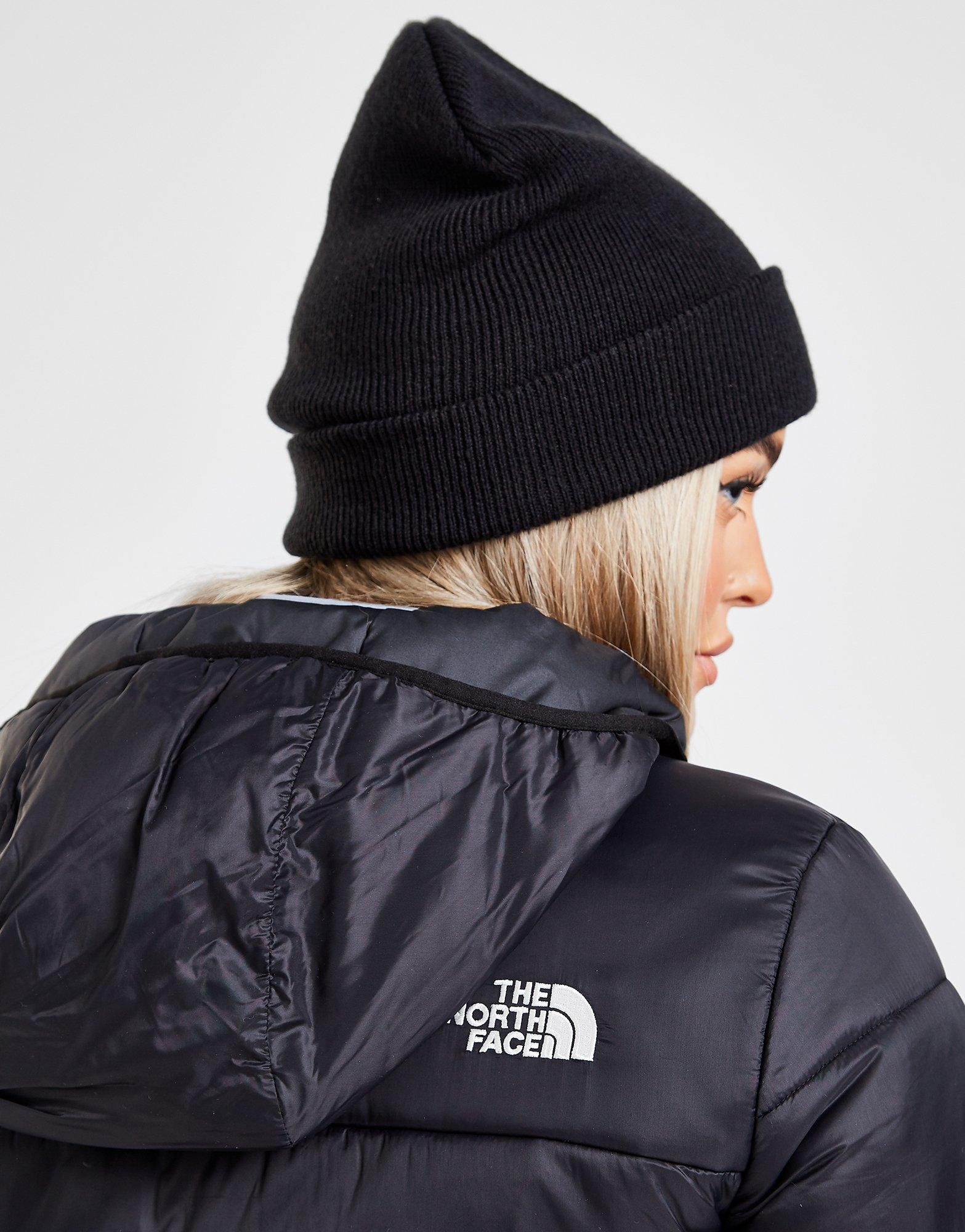 the north face panel