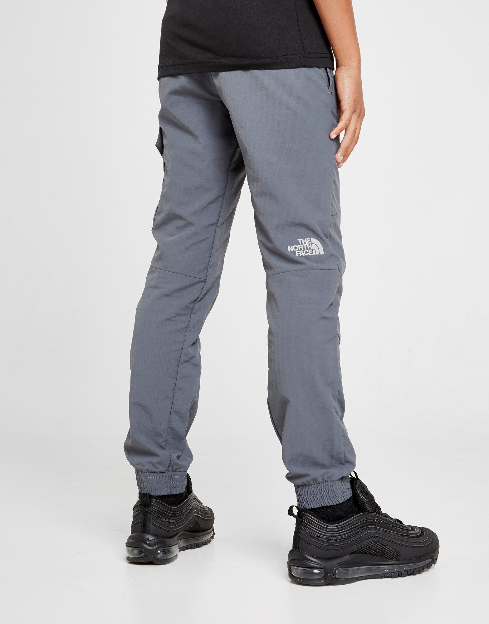 grey north face cargo pants