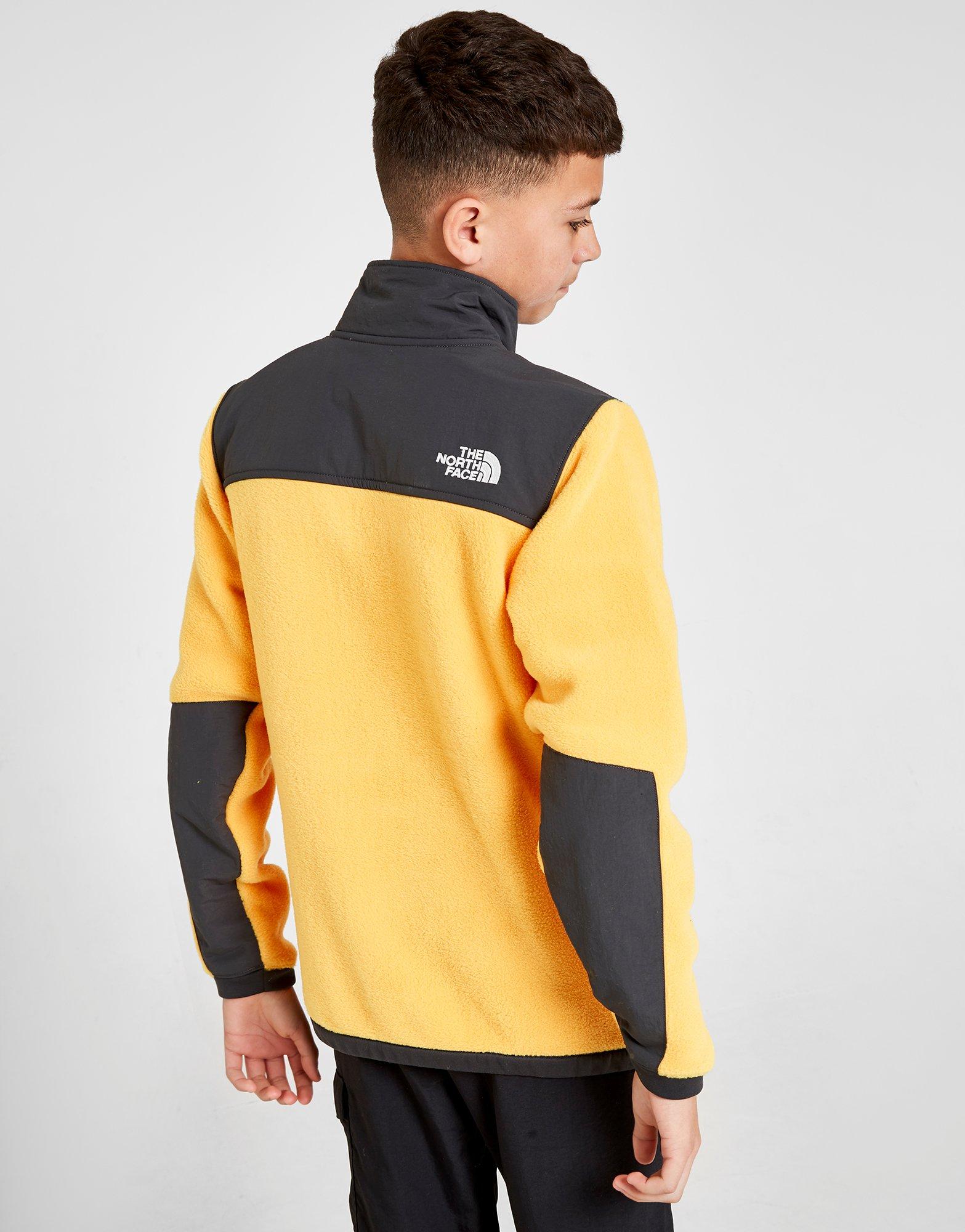 the north face sweatshirt junior