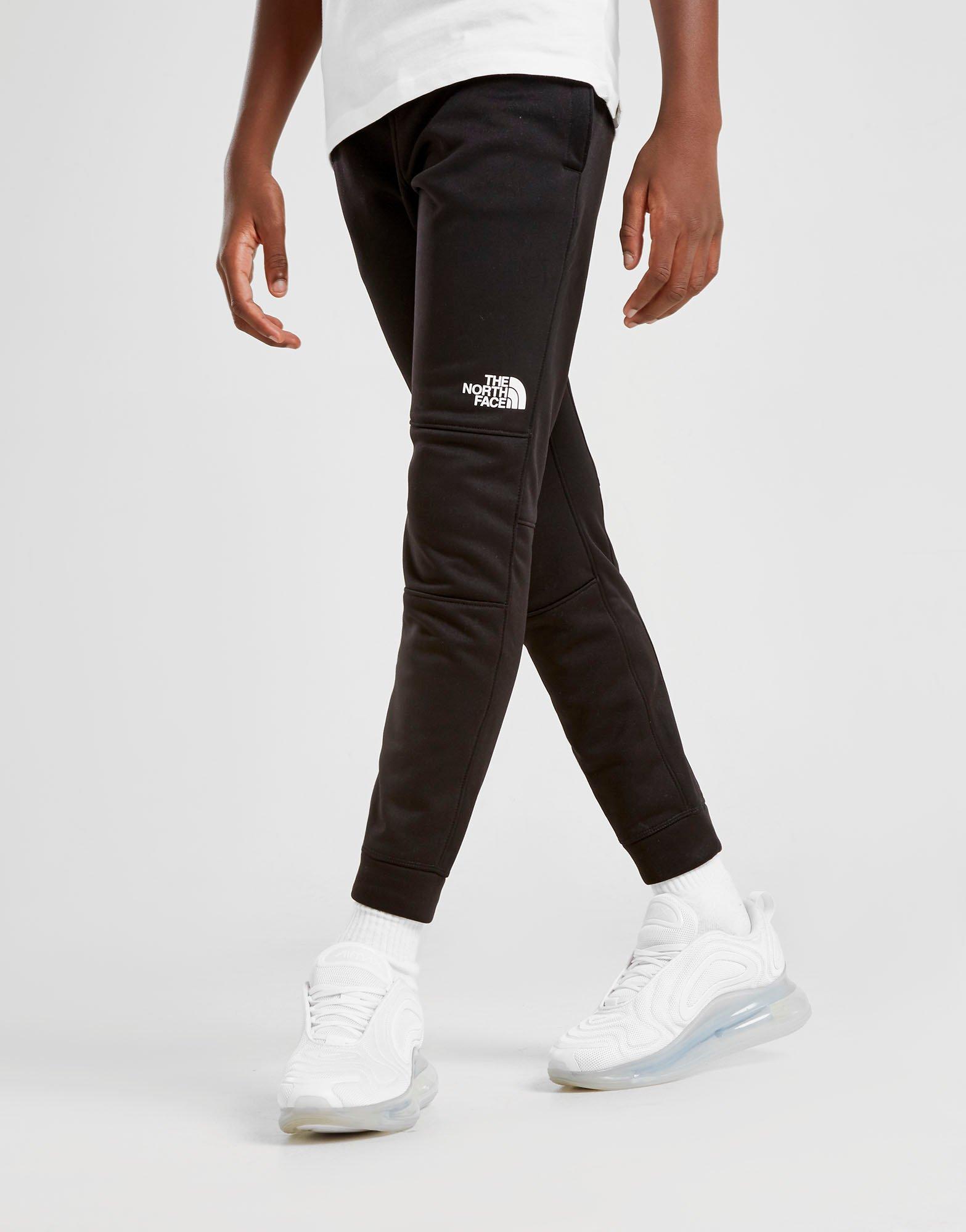 the north face surgent pants