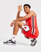 Nike NBA Chicago Bulls Swingman Shorts