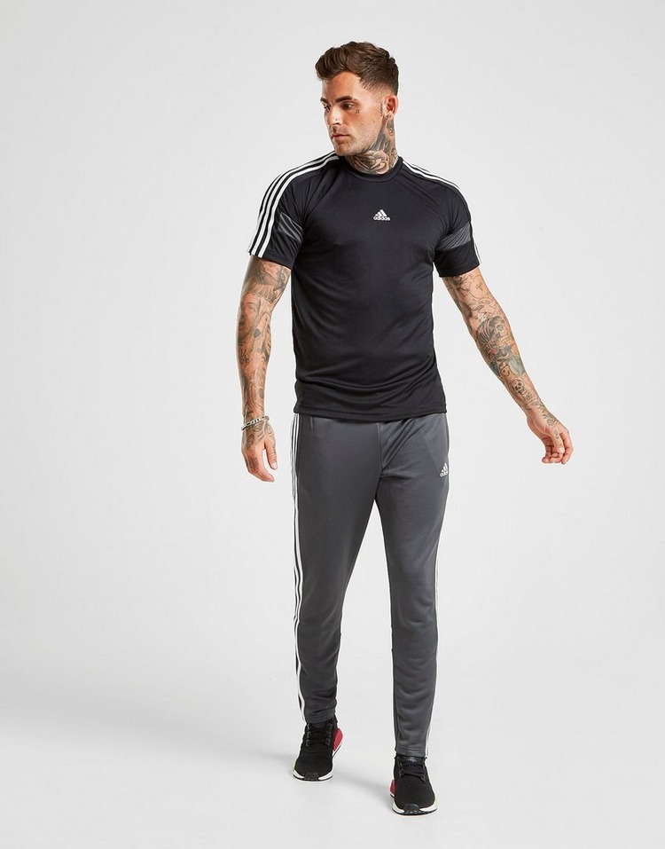 adidas T-Shirt Match Manches Courtes Homme