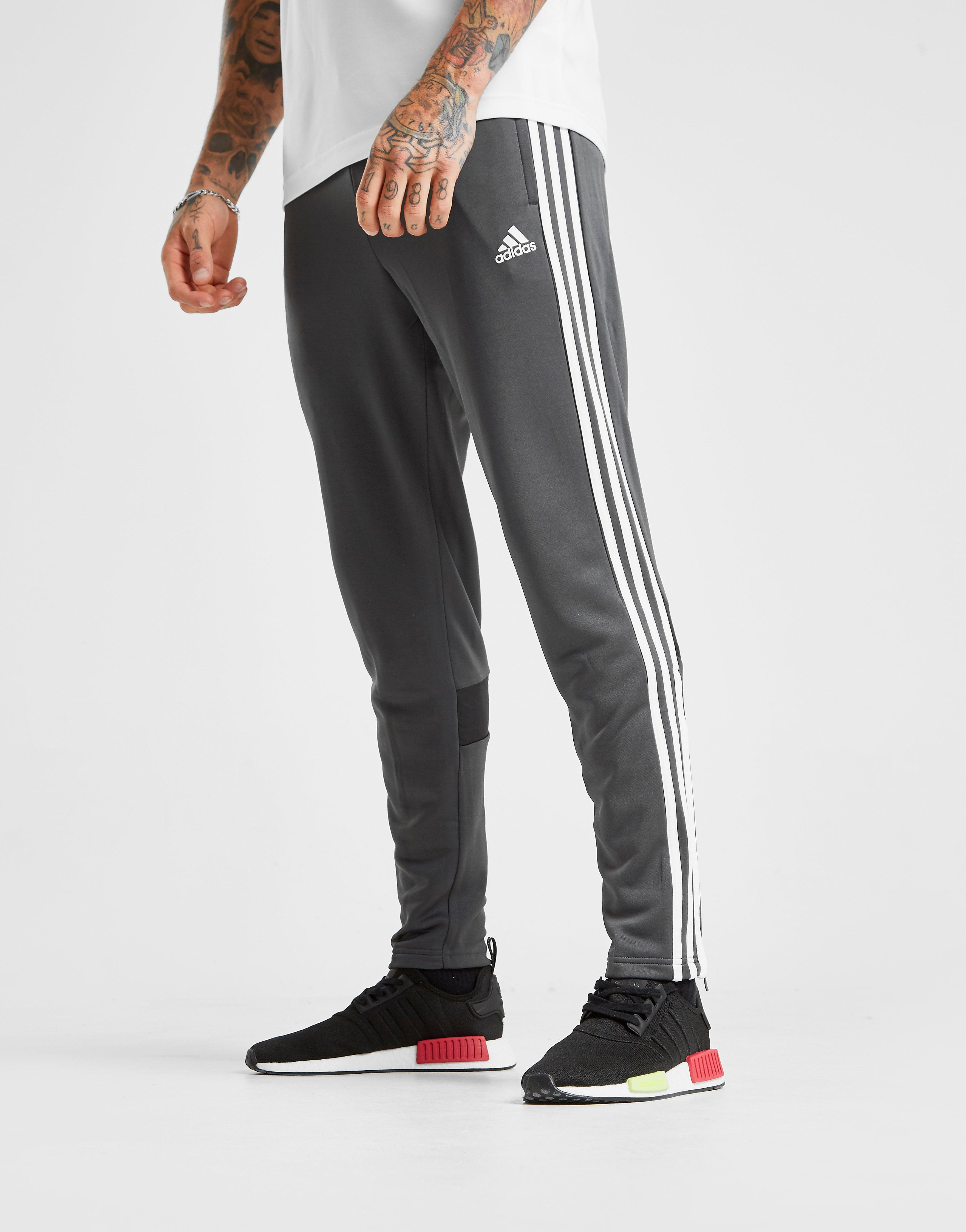 adidas pants jd