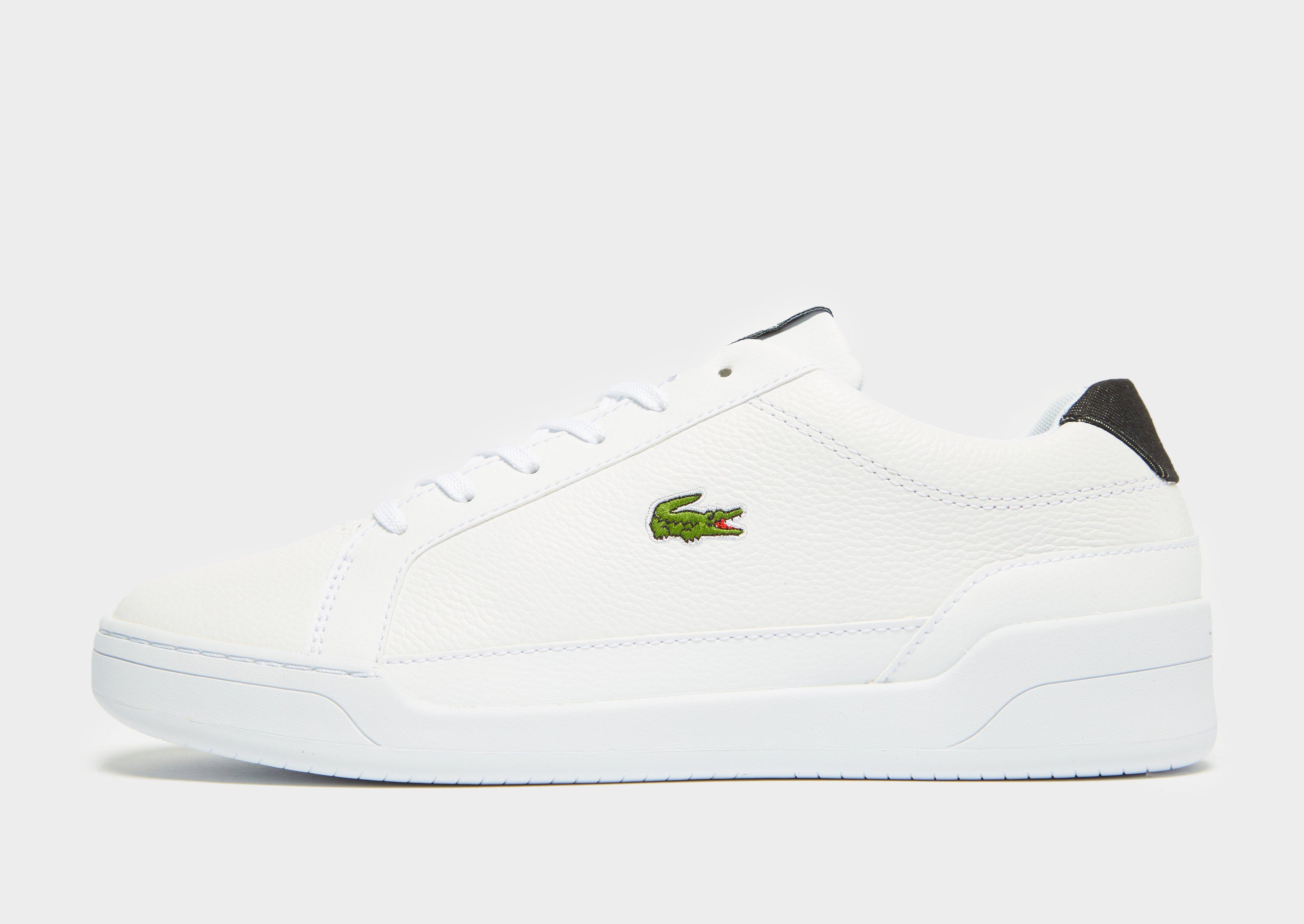 jd mens lacoste trainers